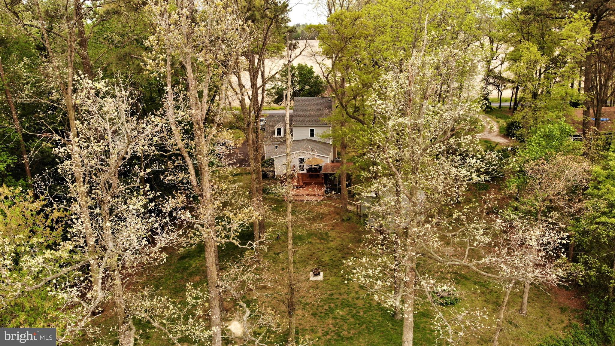 14693 Johnson Road Laurel, DE 19956 - Photo 36 of 43 Gallery Image 36