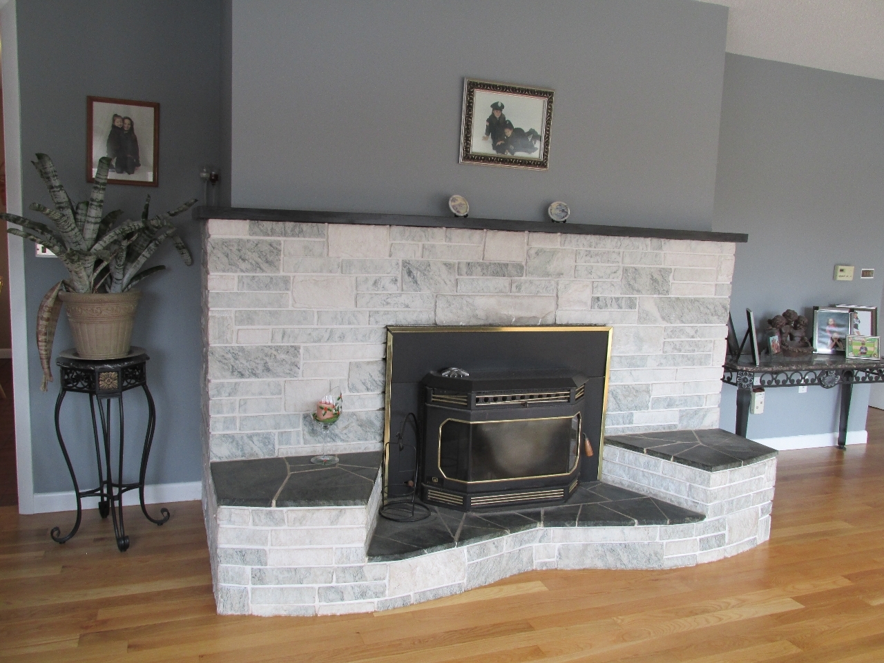 Wood fireplace w pellet insert