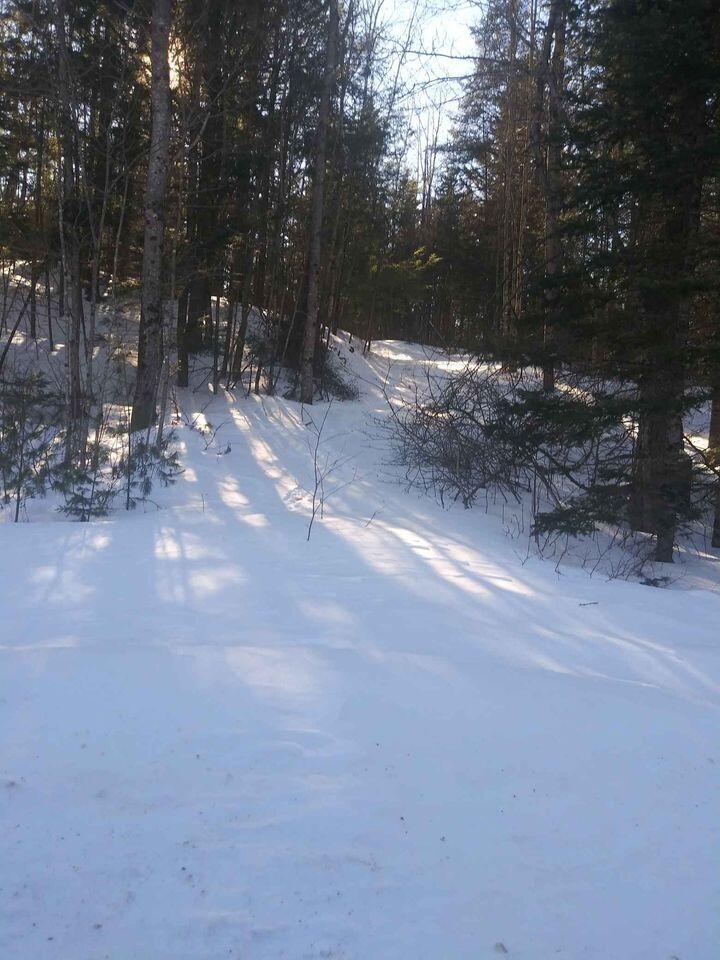 485 Milton Road Bryant Pond, ME 04219 - Photo 8 of 13 Trail on lot