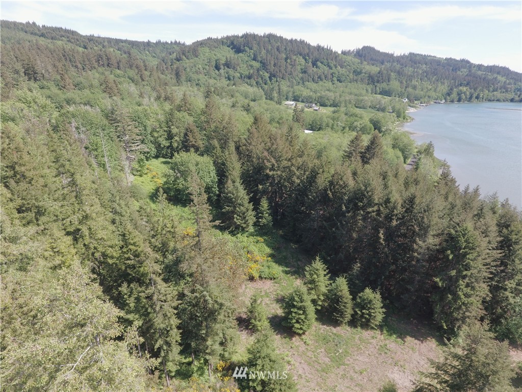 1251 Dabob Post Office Road Quilcene, WA 98376 - Photo 8 of 25