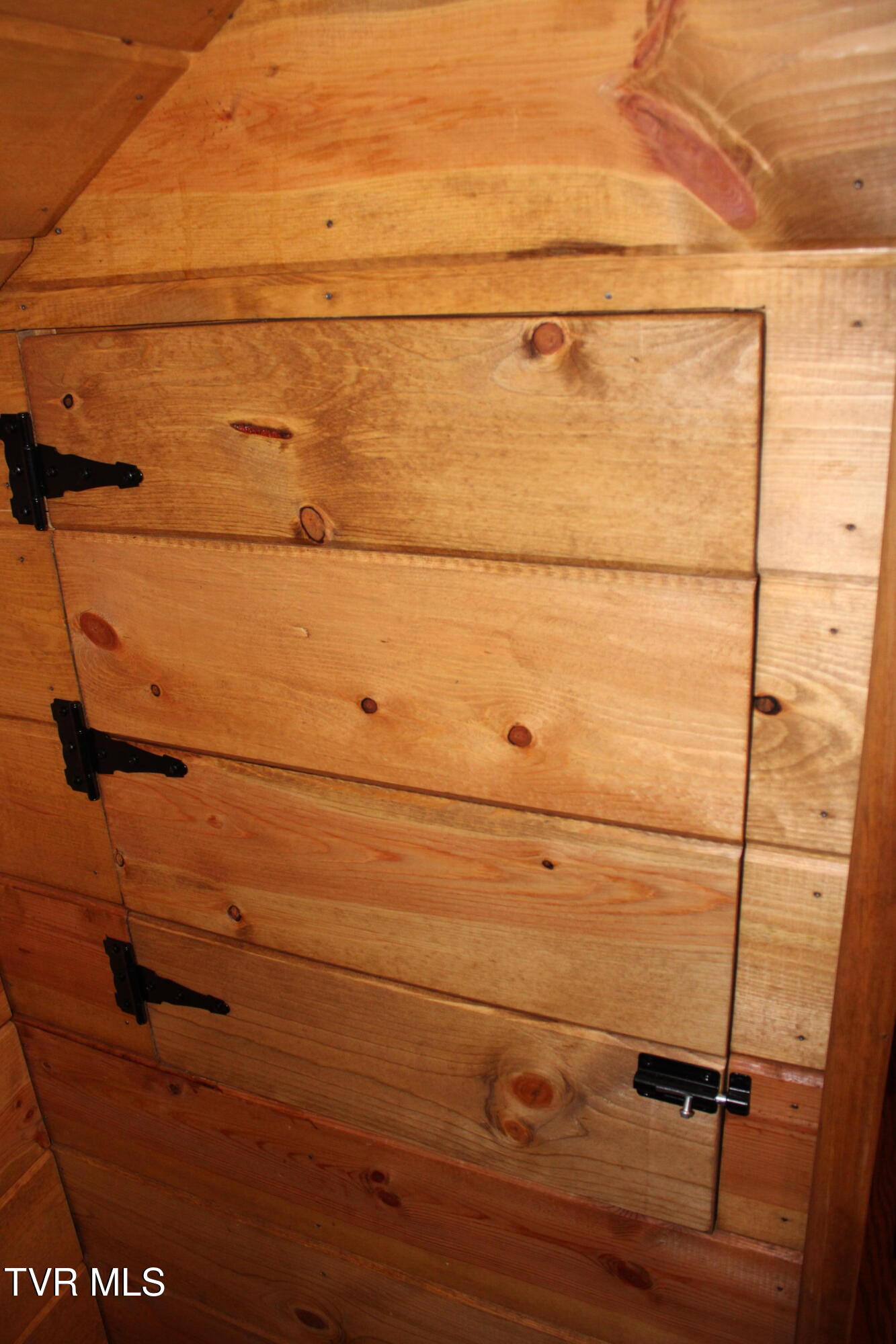 2044 Pigeon Creek Road Greeneville, TN 37743 - Photo 108 of 163 IMG_2961