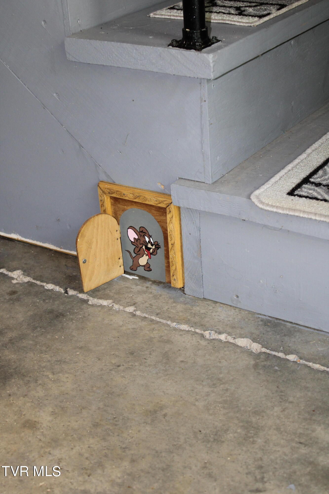 2044 Pigeon Creek Road Greeneville, TN 37743 - Photo 124 of 163 IMG_2652