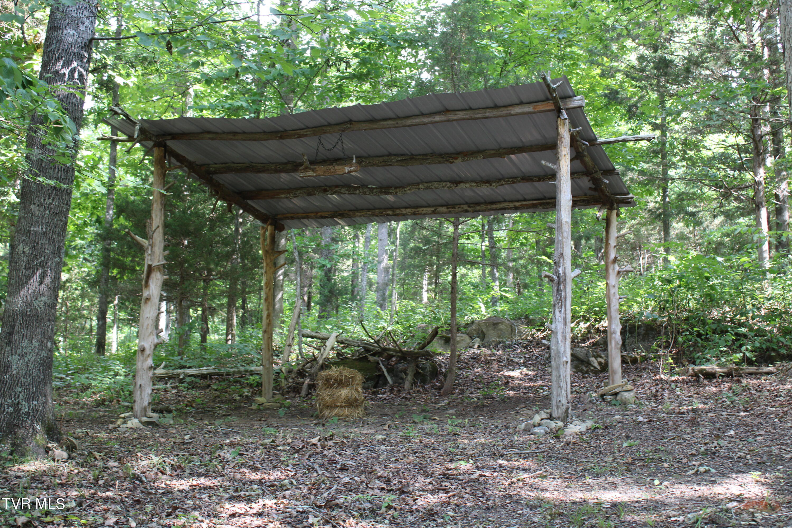 2044 Pigeon Creek Road Greeneville, TN 37743 - Photo 134 of 163 IMG_2677