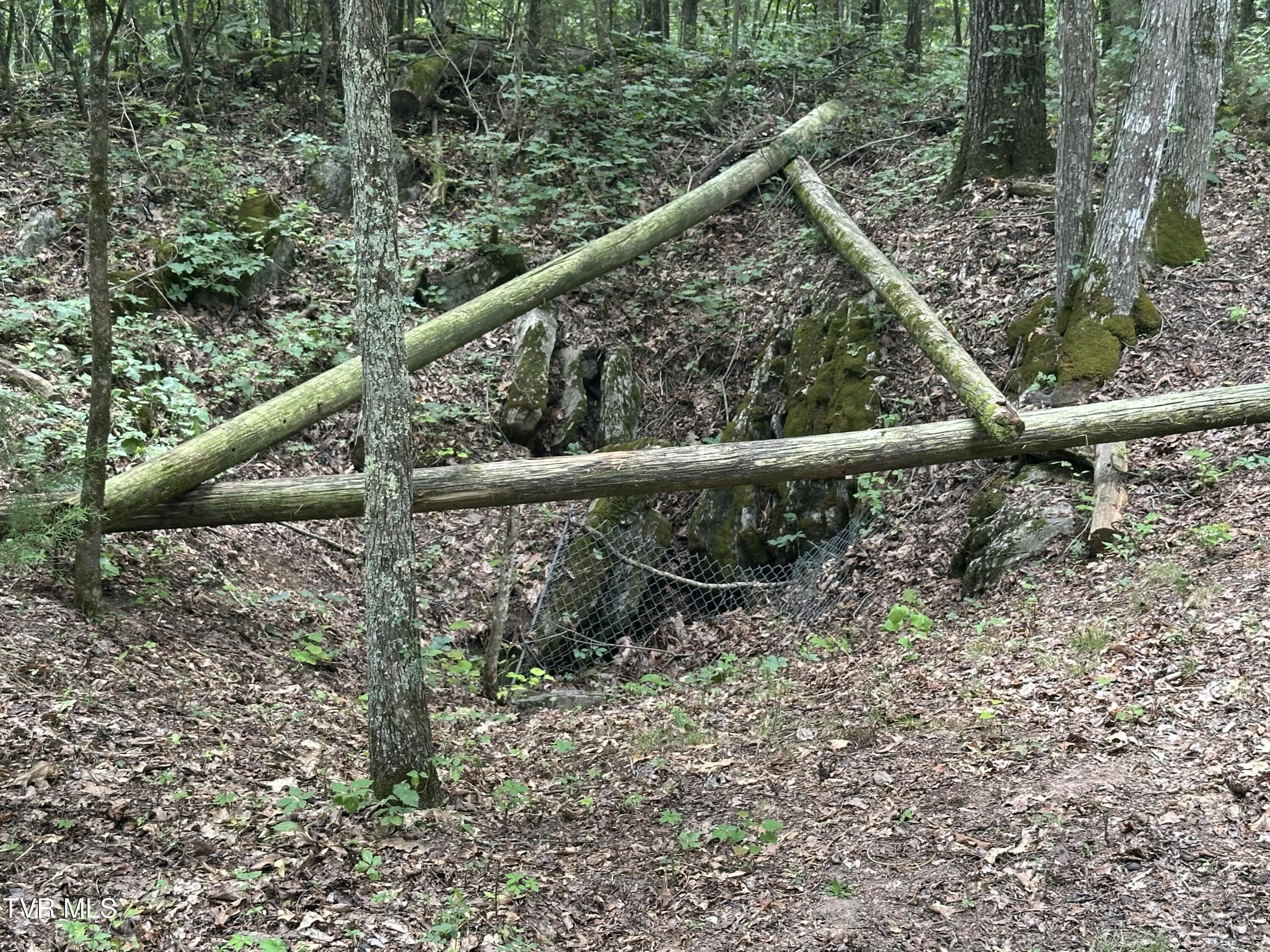 2044 Pigeon Creek Road Greeneville, TN 37743 - Photo 136 of 163 IMG_7385