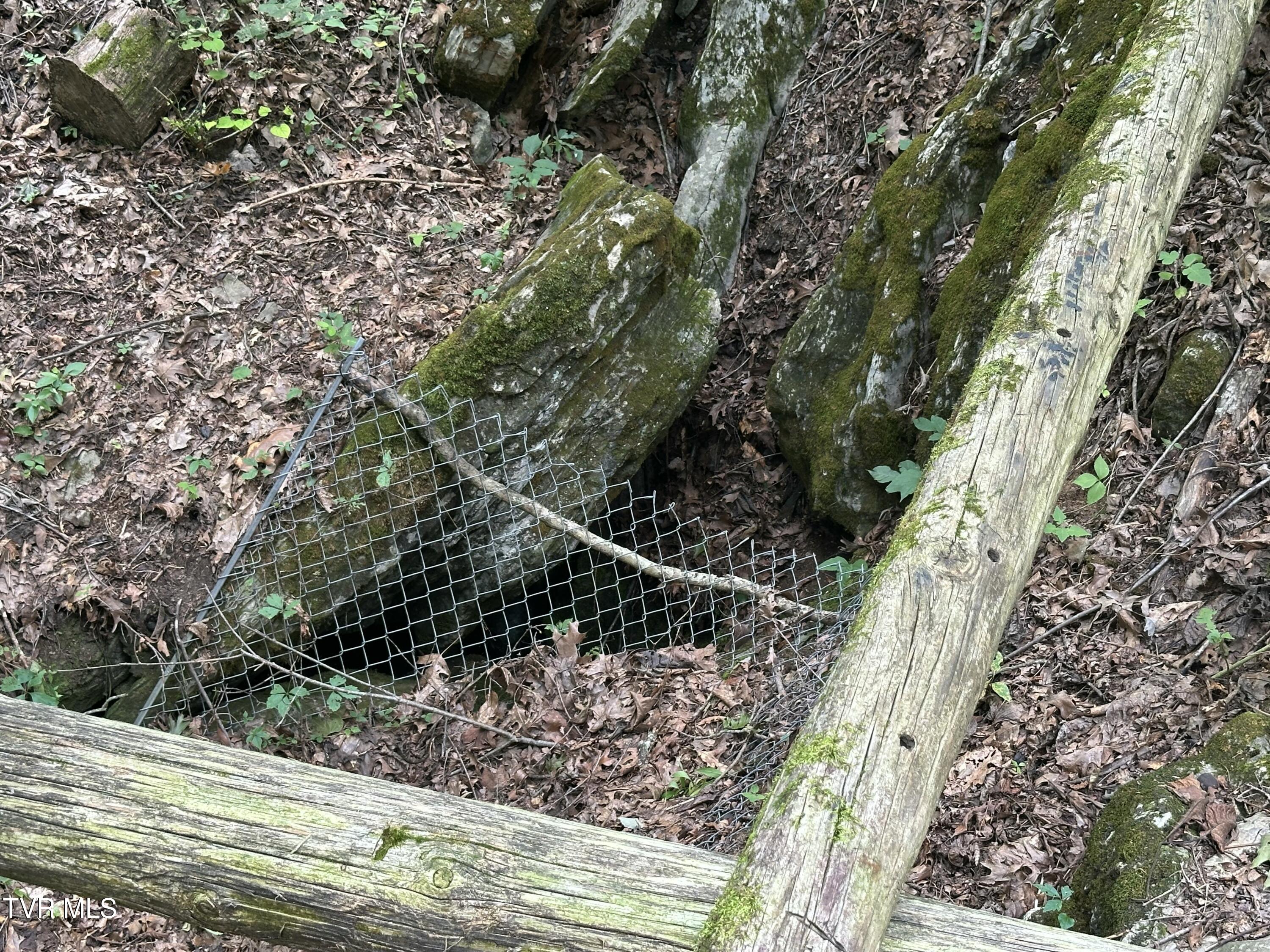 2044 Pigeon Creek Road Greeneville, TN 37743 - Photo 137 of 163 IMG_7386