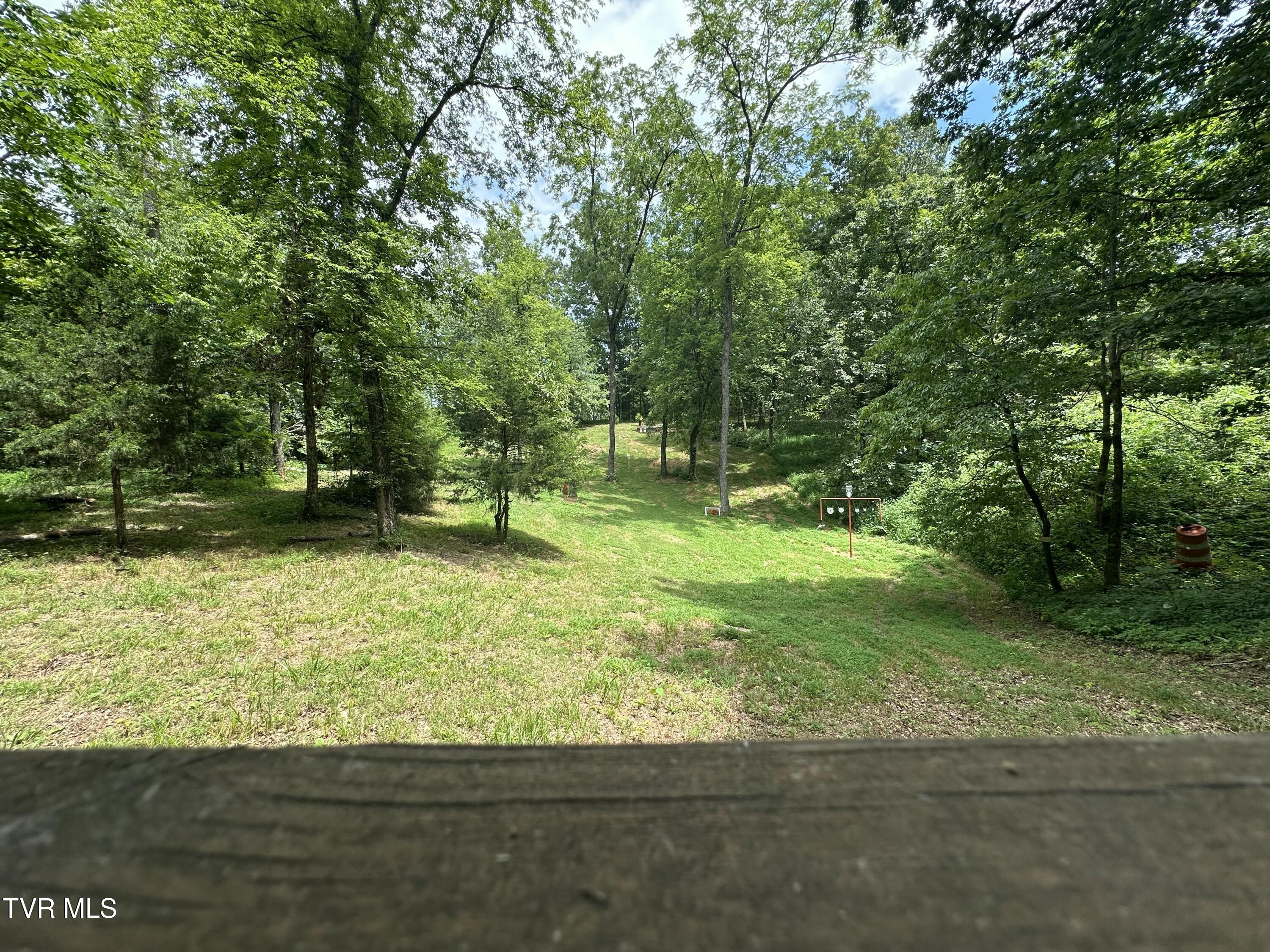 2044 Pigeon Creek Road Greeneville, TN 37743 - Photo 142 of 163 IMG_7390