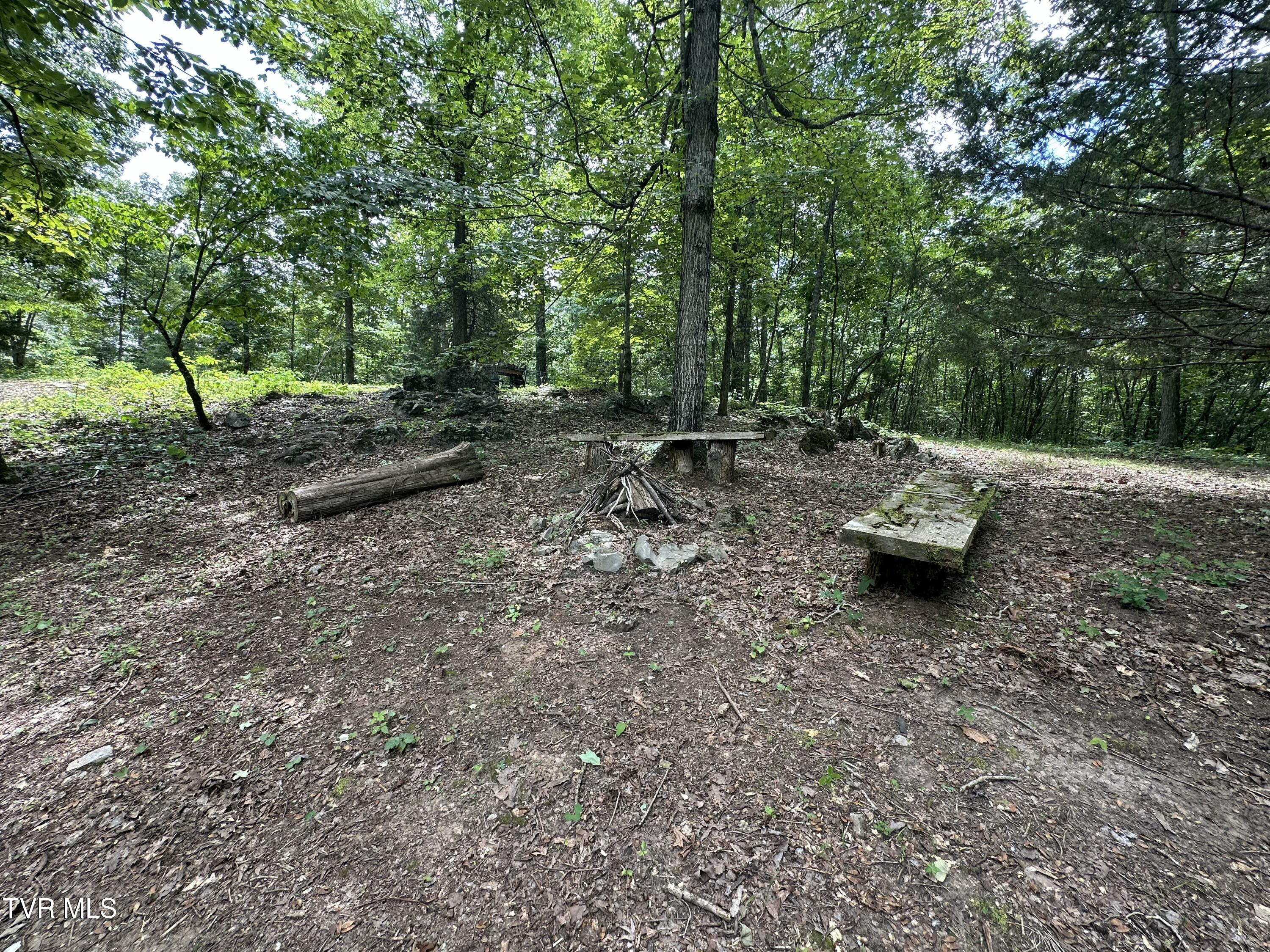 2044 Pigeon Creek Road Greeneville, TN 37743 - Photo 145 of 163 IMG_7391