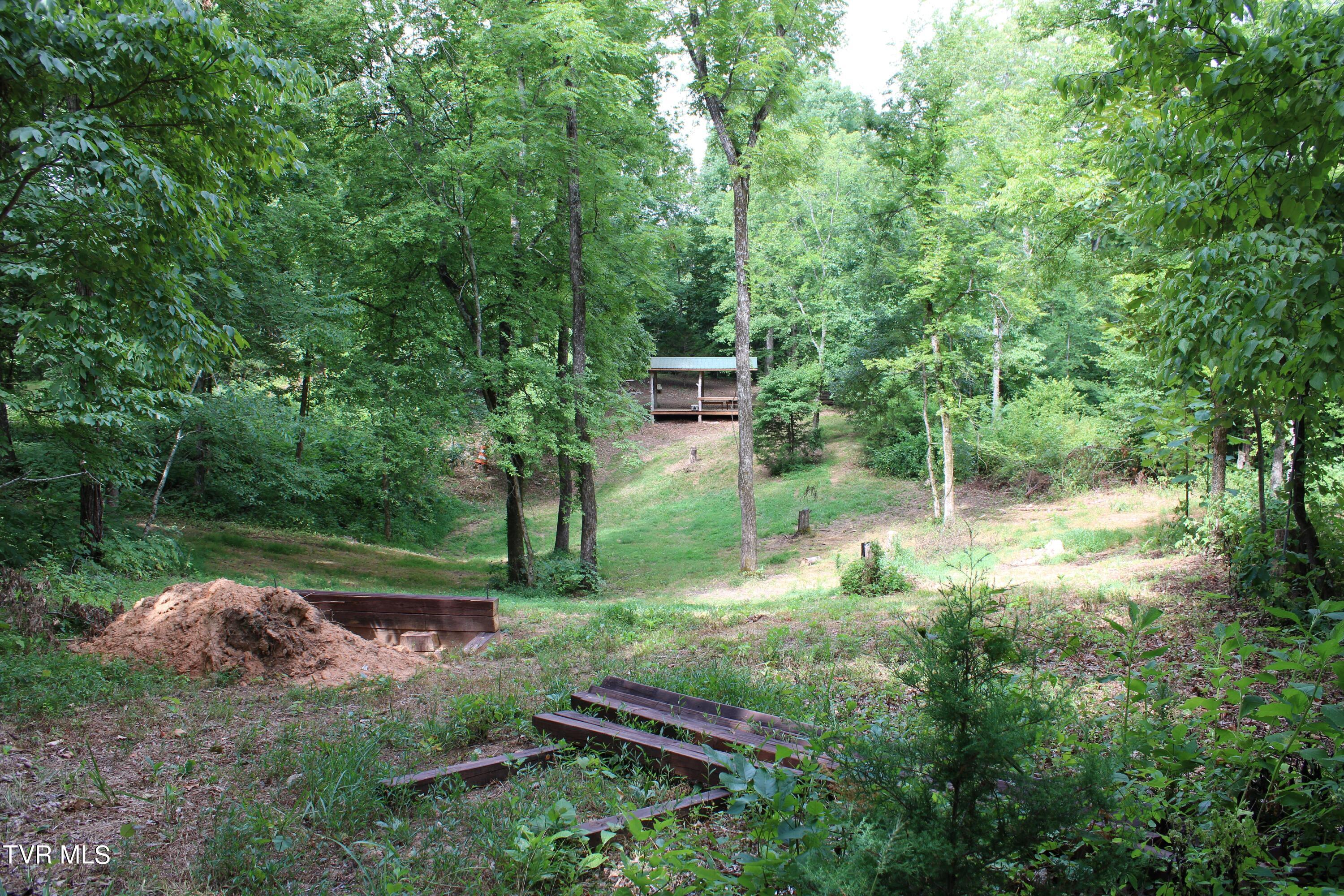 2044 Pigeon Creek Road Greeneville, TN 37743 - Photo 147 of 163 IMG_2695