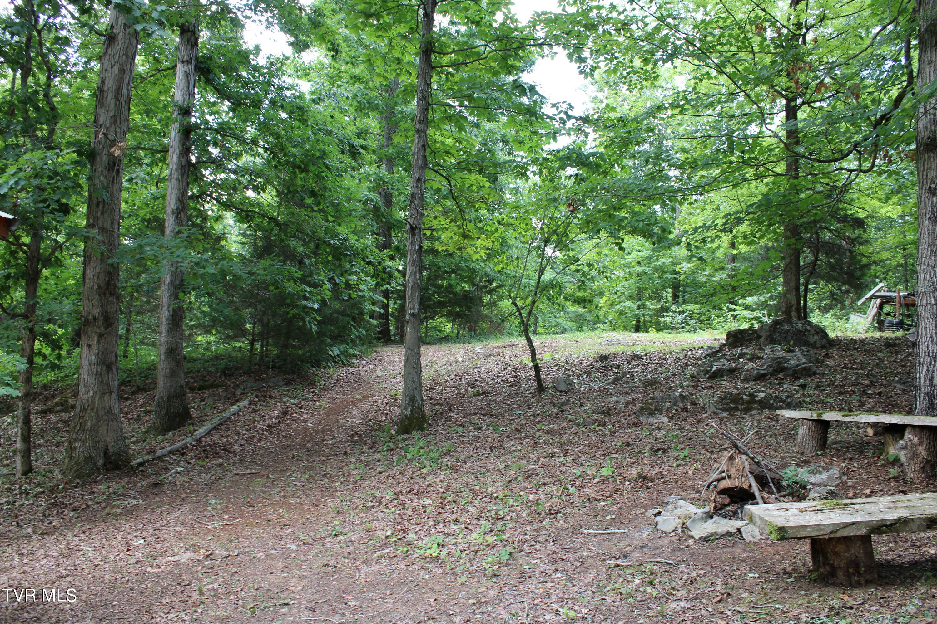 2044 Pigeon Creek Road Greeneville, TN 37743 - Photo 149 of 163 IMG_2683