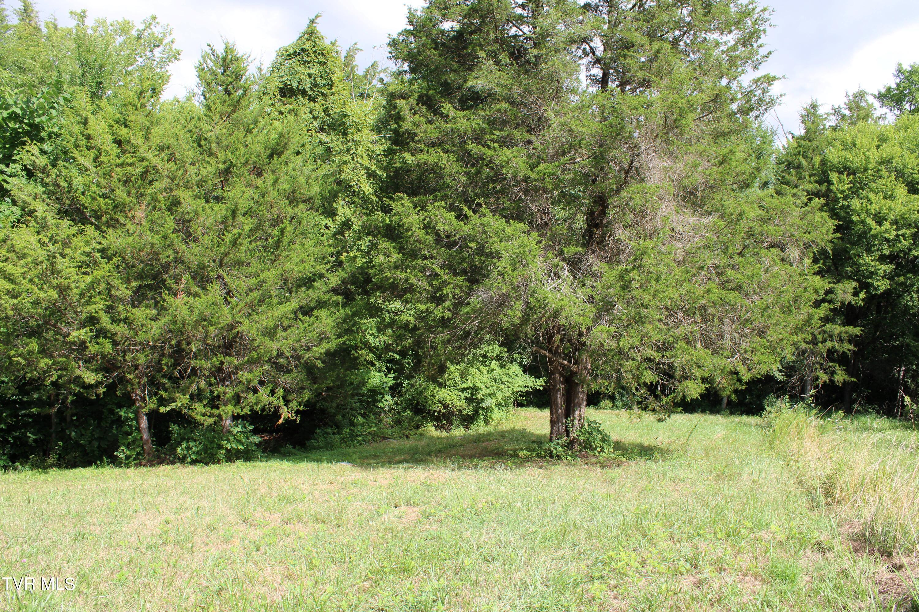 2044 Pigeon Creek Road Greeneville, TN 37743 - Photo 150 of 163 IMG_2692