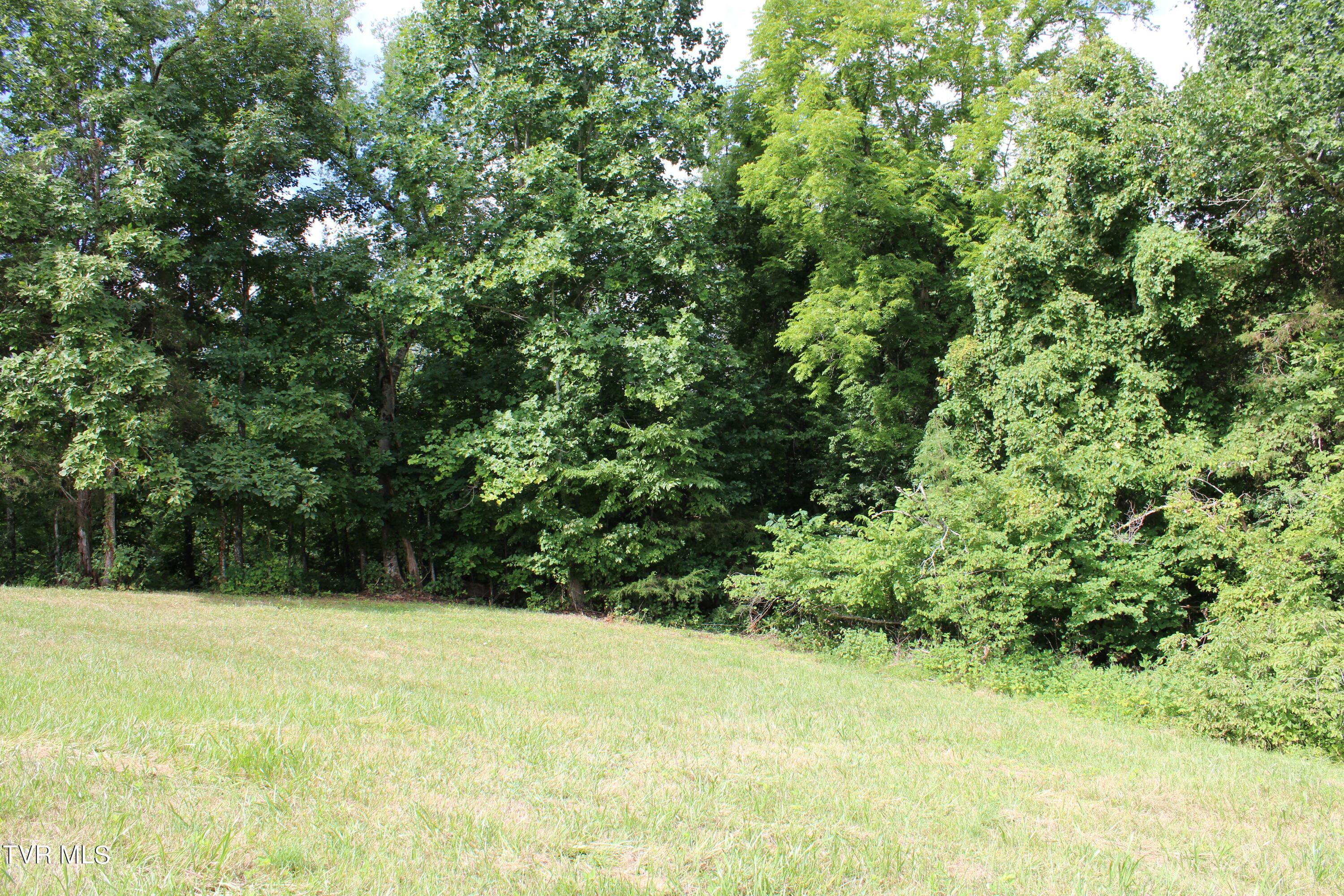 2044 Pigeon Creek Road Greeneville, TN 37743 - Photo 152 of 163 IMG_2694