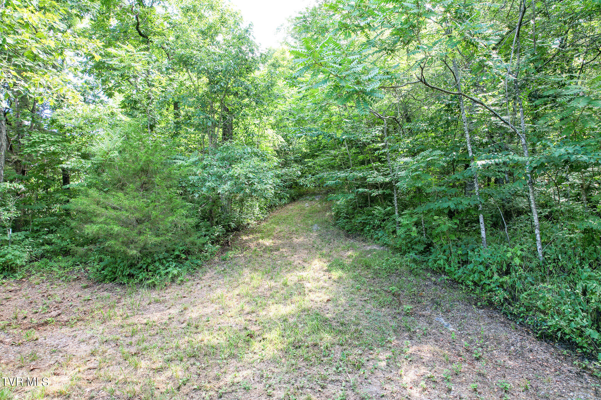 2044 Pigeon Creek Road Greeneville, TN 37743 - Photo 153 of 163 DJI_0910