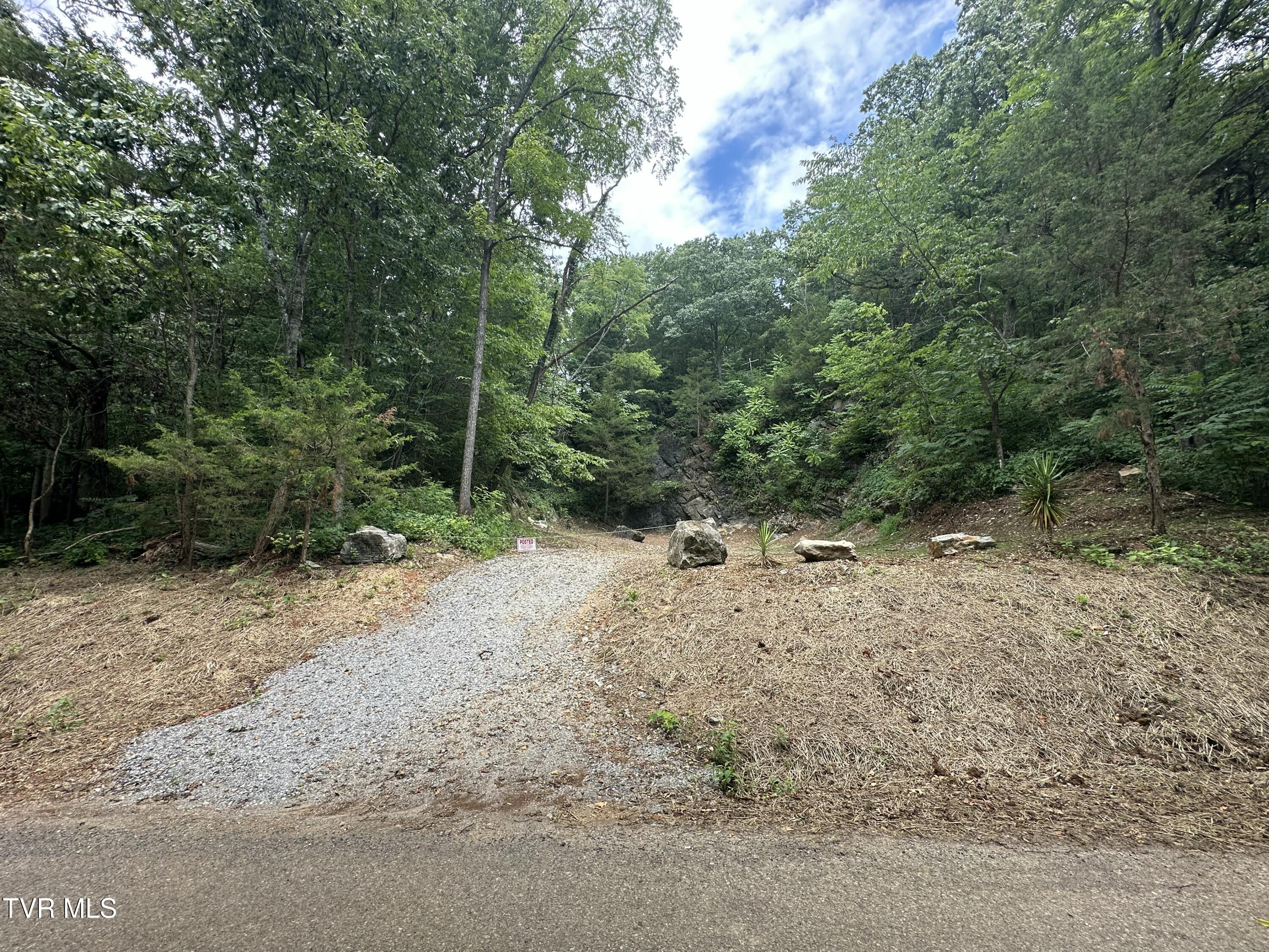 2044 Pigeon Creek Road Greeneville, TN 37743 - Photo 154 of 163 IMG_7402