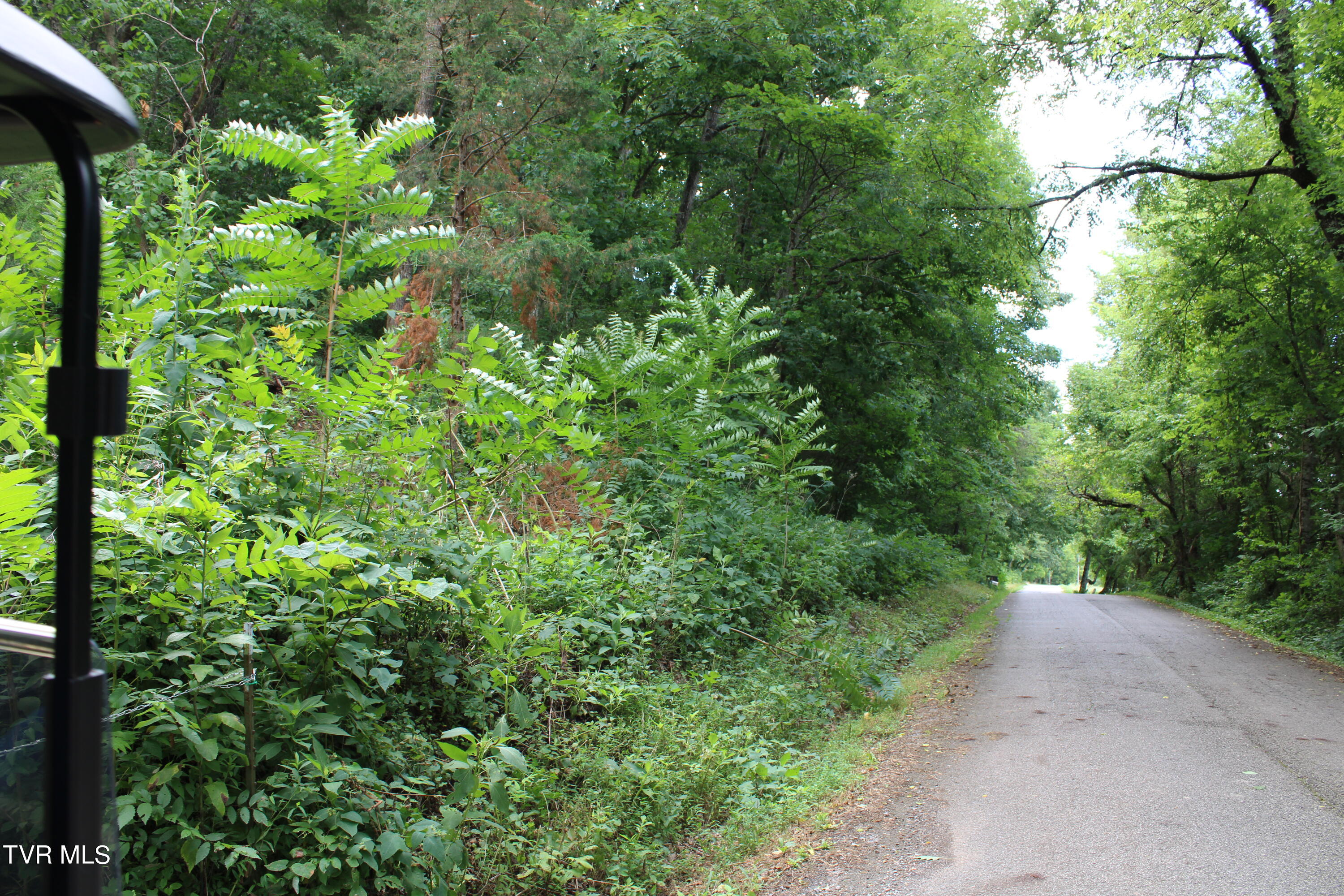 2044 Pigeon Creek Road Greeneville, TN 37743 - Photo 157 of 163 IMG_2702