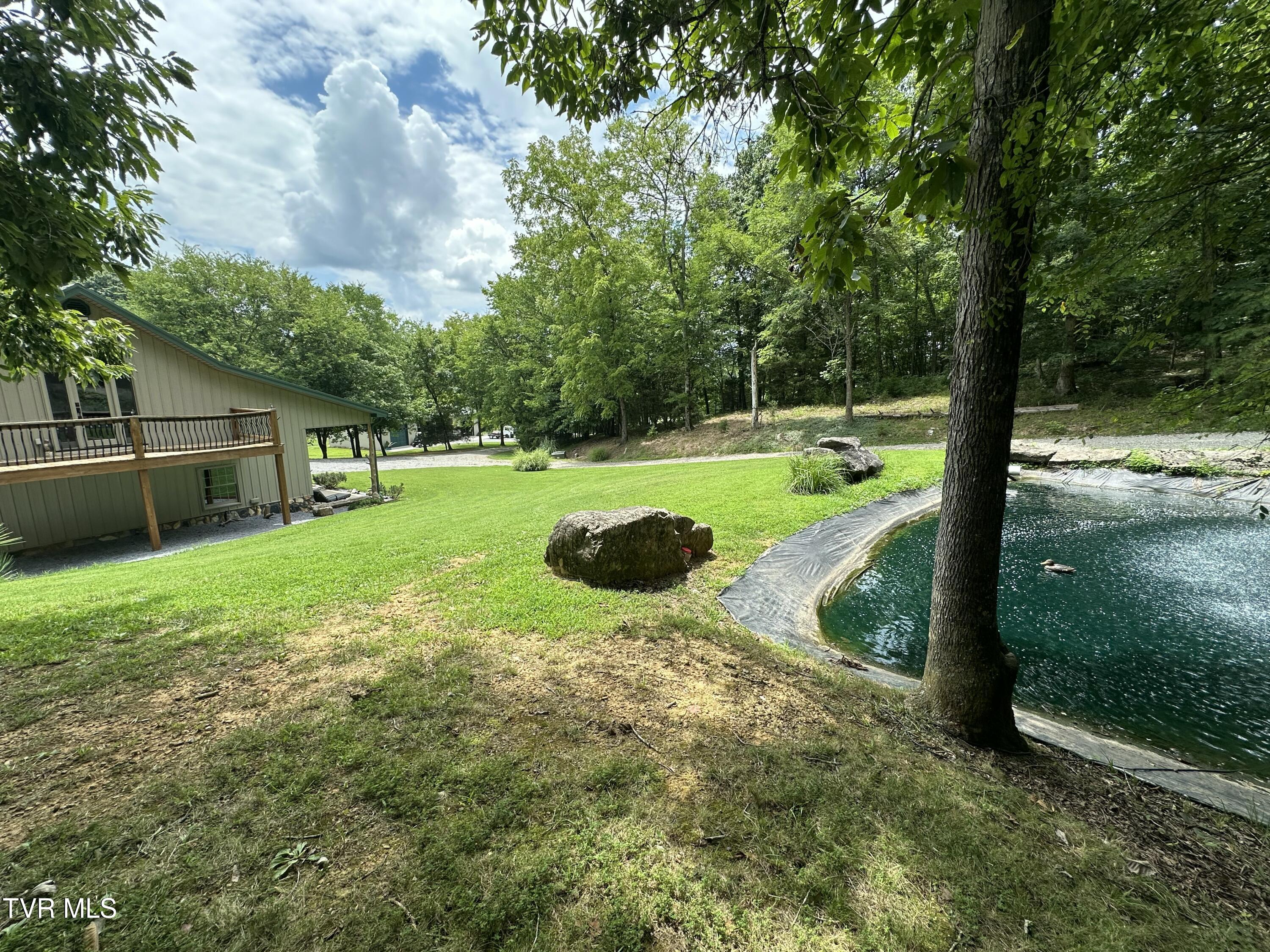 2044 Pigeon Creek Road Greeneville, TN 37743 - Photo 26 of 163 IMG_7365