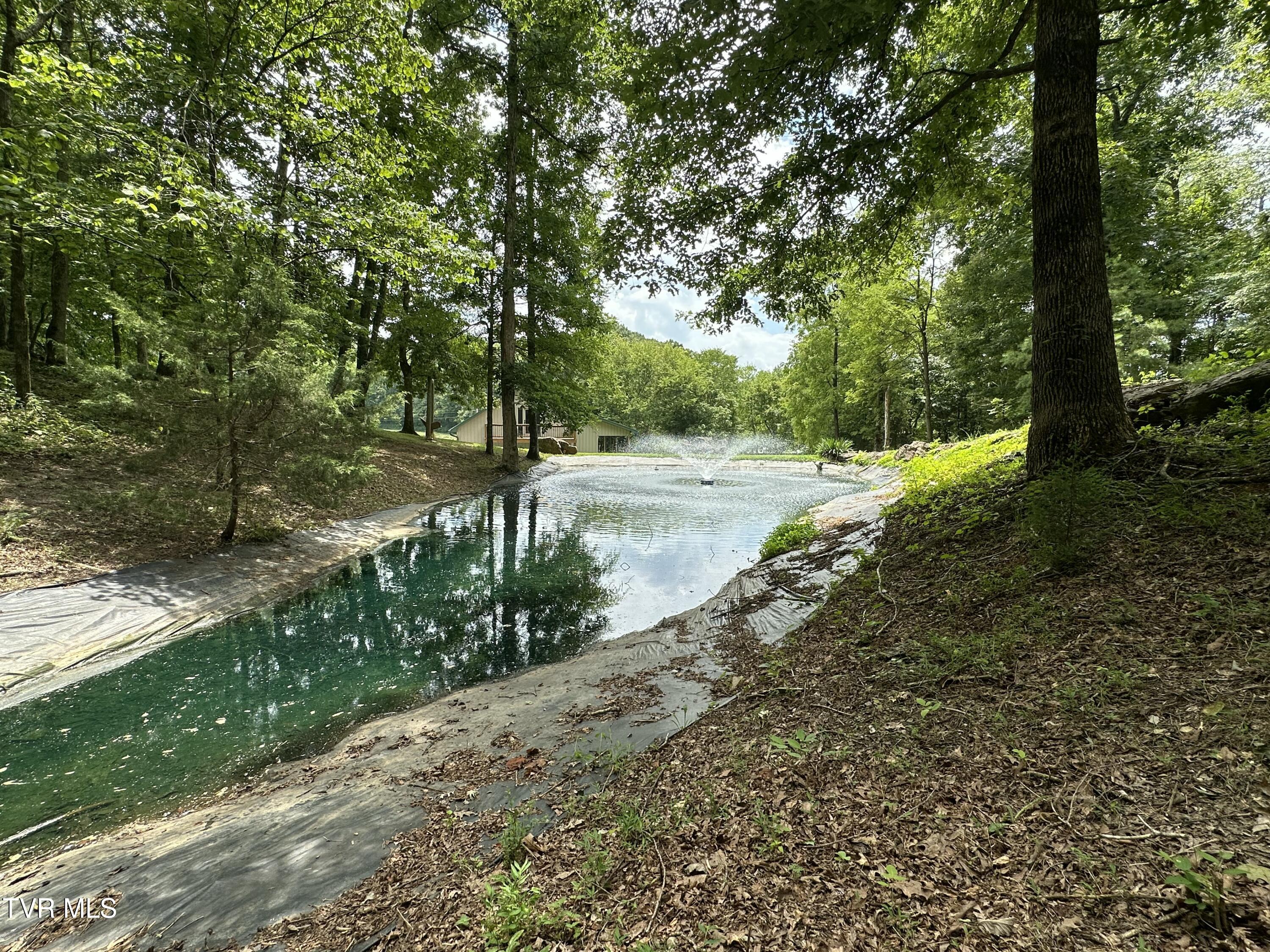2044 Pigeon Creek Road Greeneville, TN 37743 - Photo 27 of 163 IMG_7368