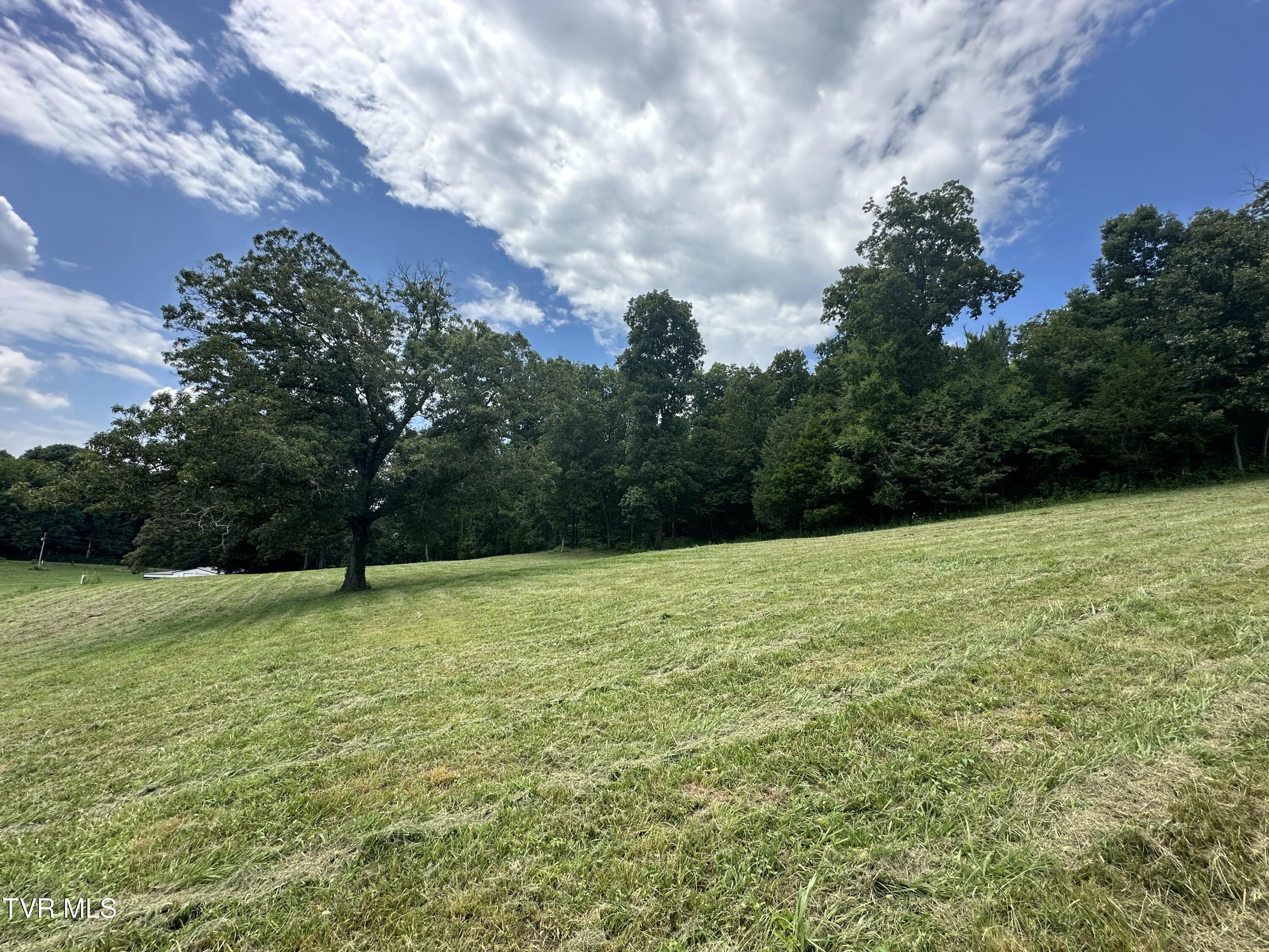 2044 Pigeon Creek Road Greeneville, TN 37743 - Photo 39 of 163 IMG_7396