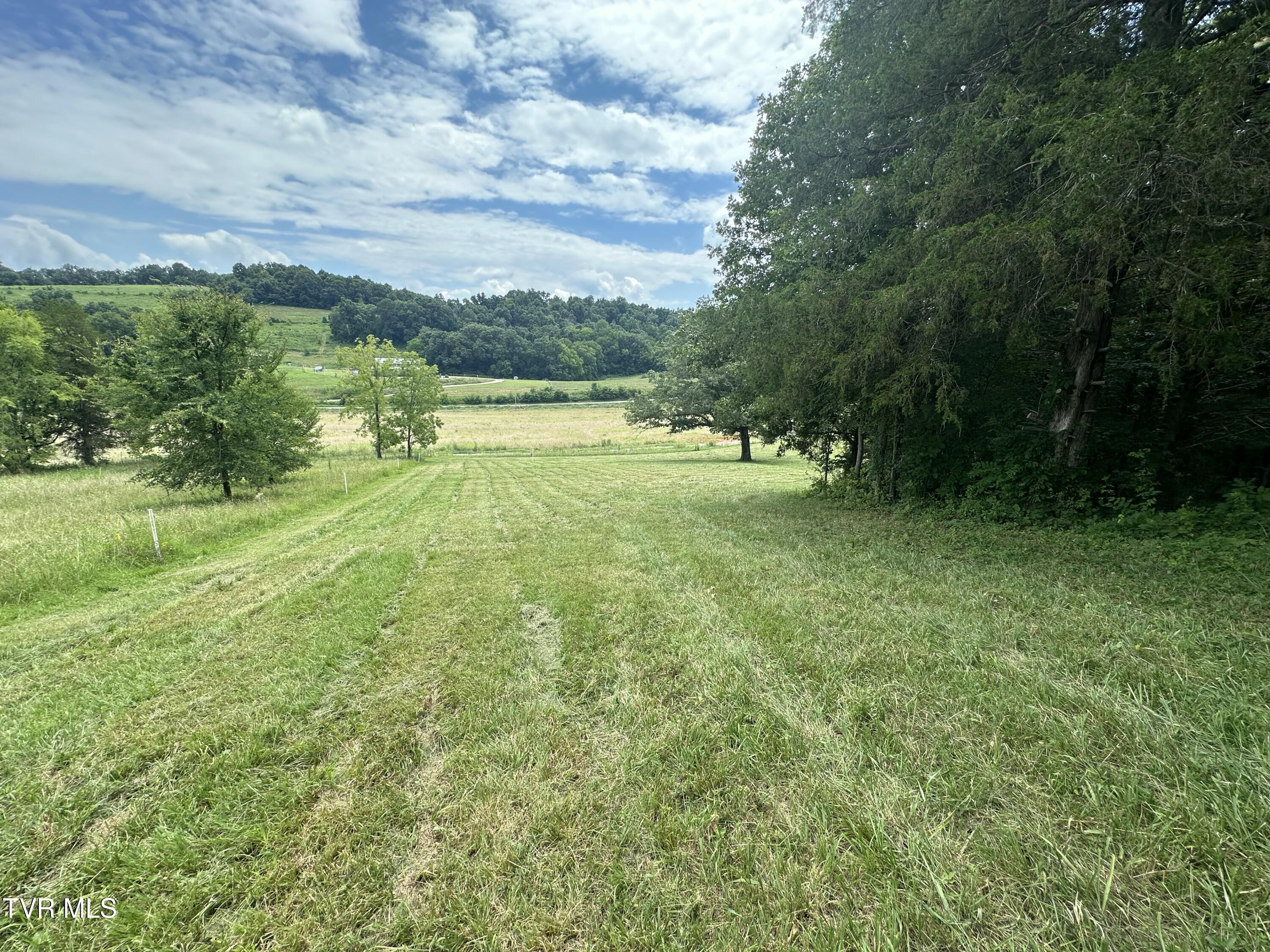 2044 Pigeon Creek Road Greeneville, TN 37743 - Photo 40 of 163 IMG_7392