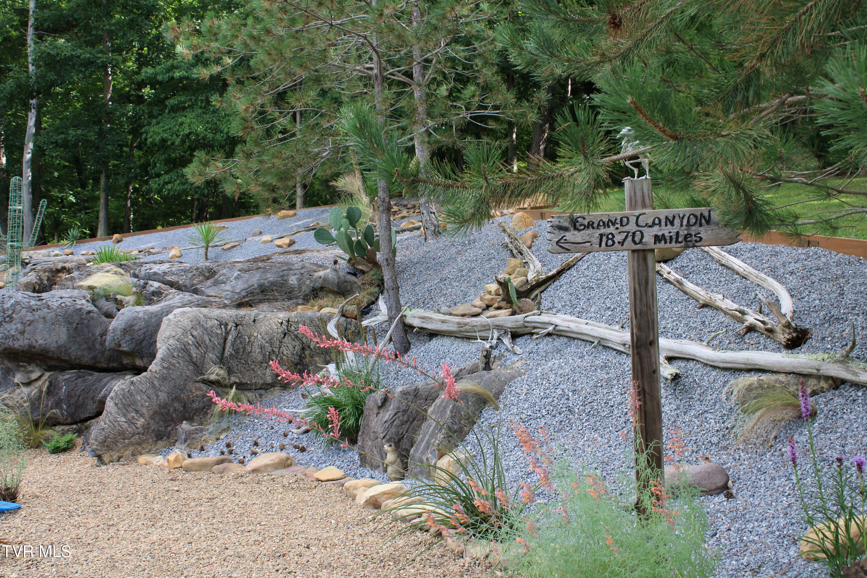 2044 Pigeon Creek Road Greeneville, TN 37743 - Photo 49 of 163 IMG_2679