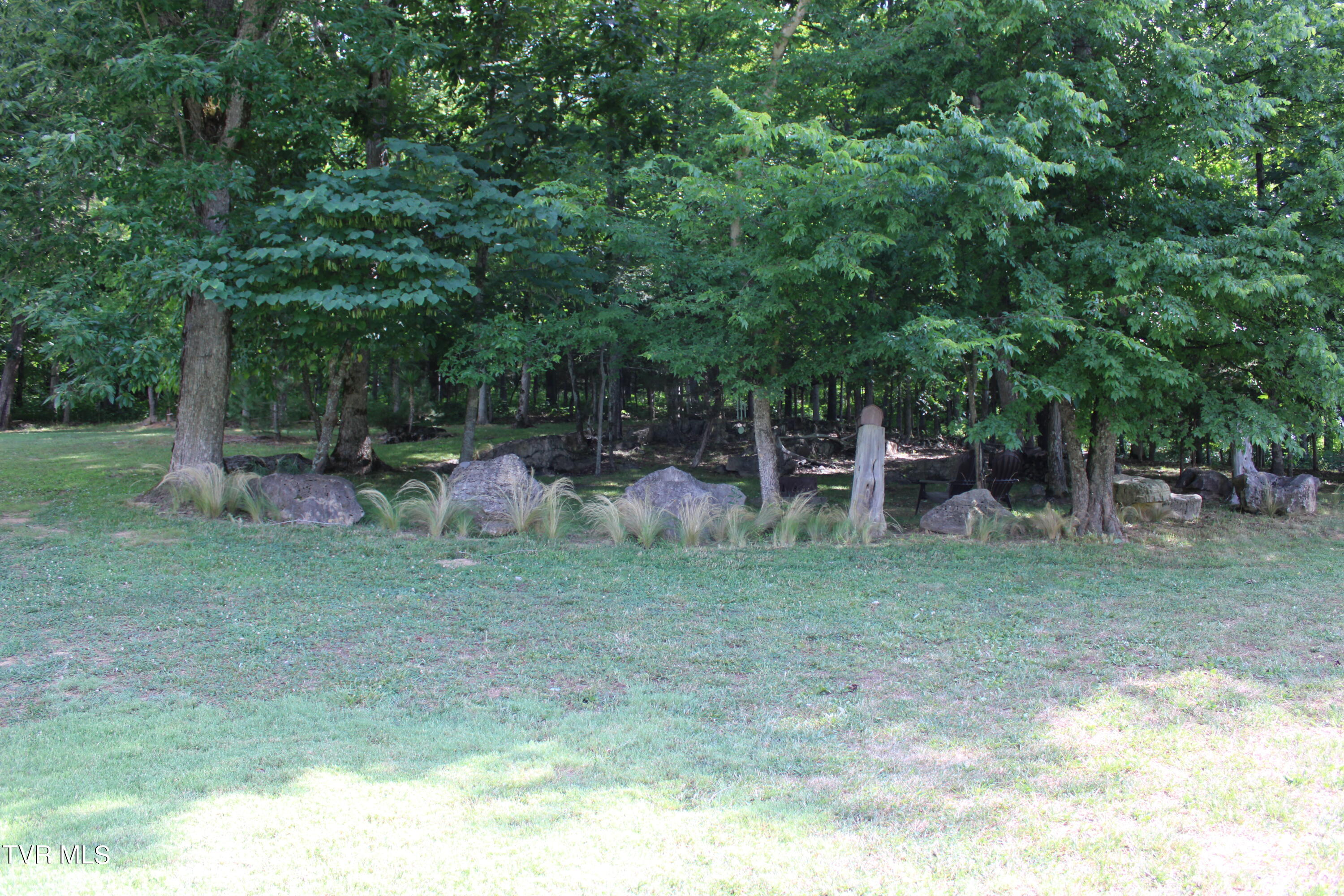 2044 Pigeon Creek Road Greeneville, TN 37743 - Photo 55 of 163 IMG_2665