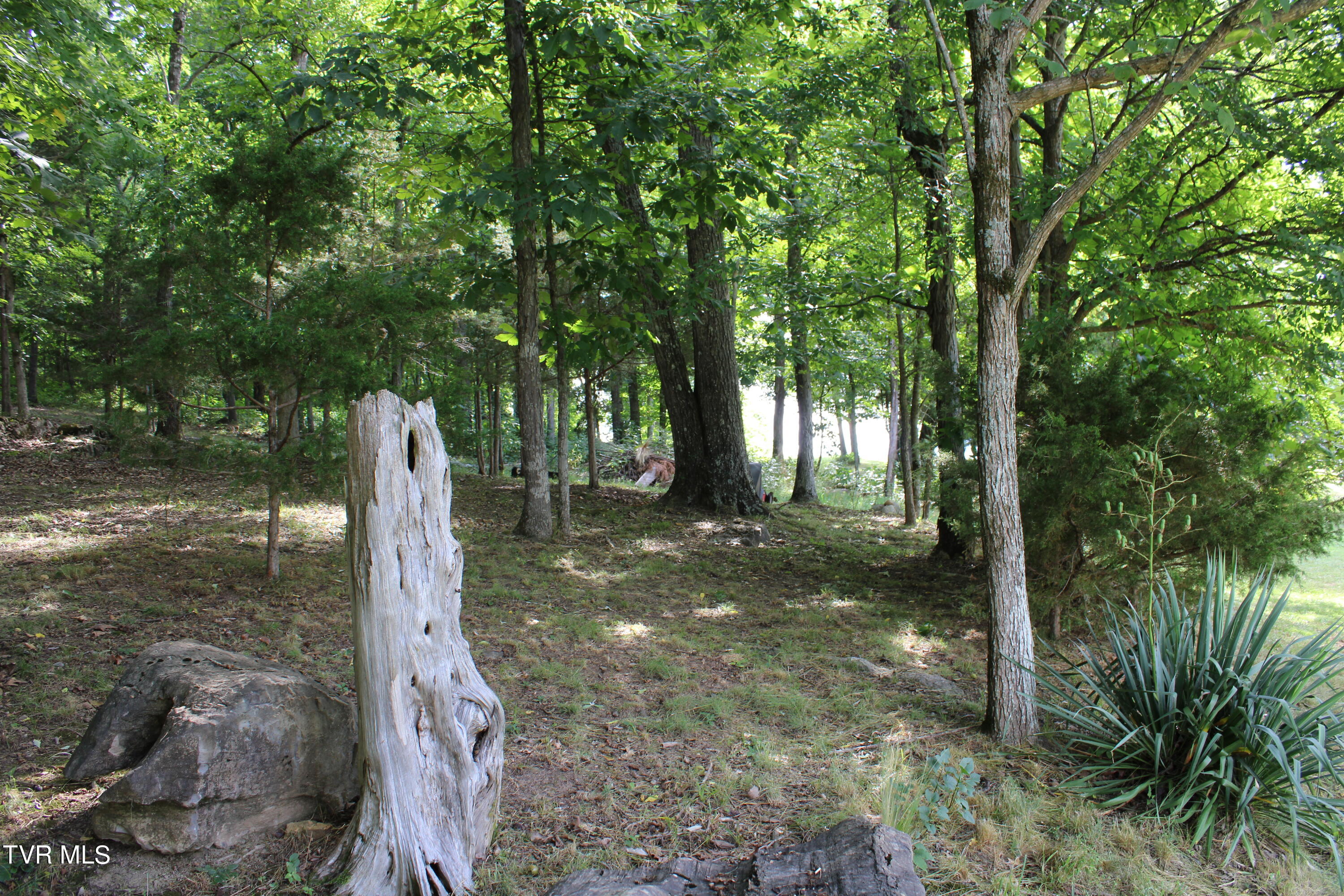 2044 Pigeon Creek Road Greeneville, TN 37743 - Photo 62 of 163 IMG_2670