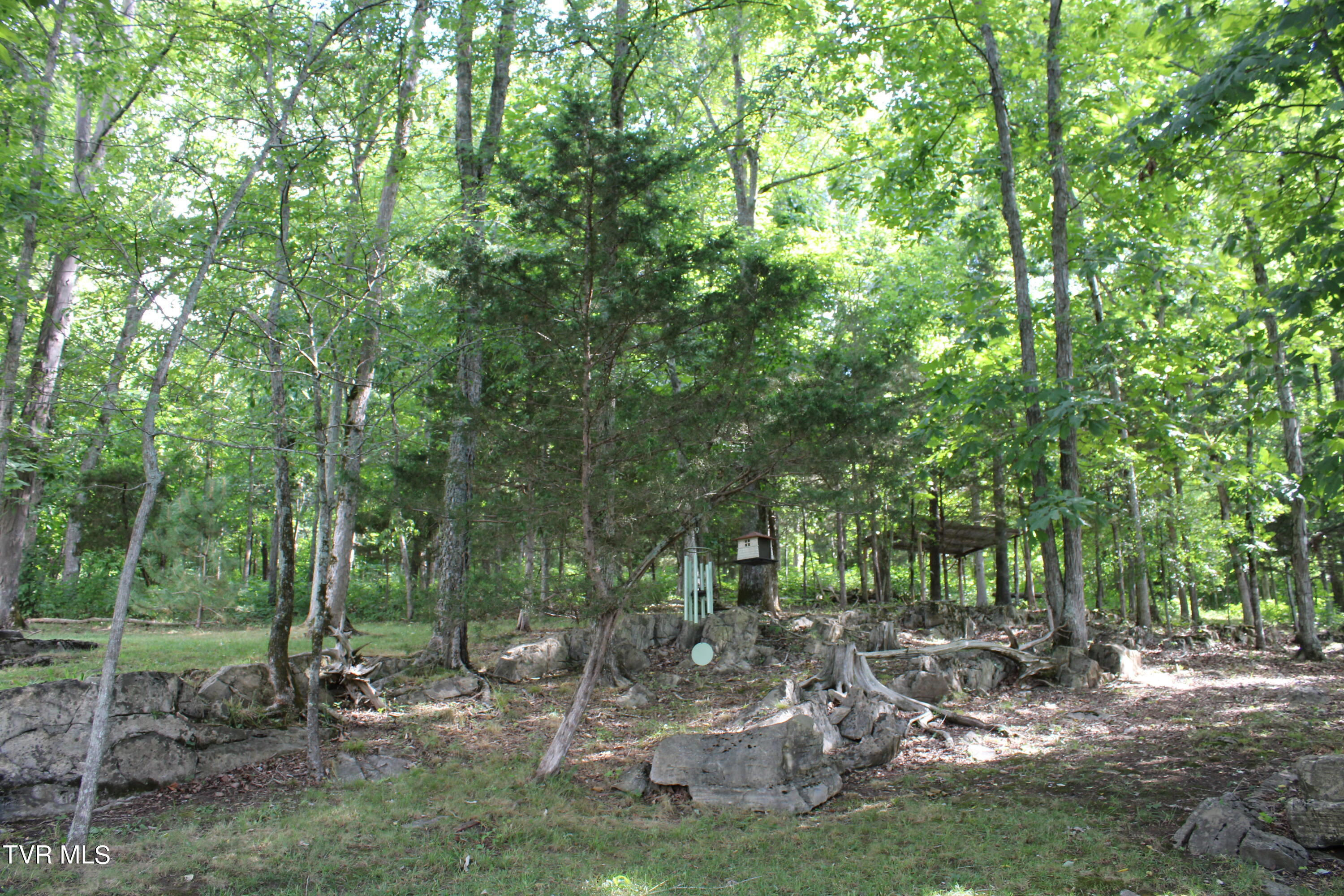 2044 Pigeon Creek Road Greeneville, TN 37743 - Photo 63 of 163 IMG_2671