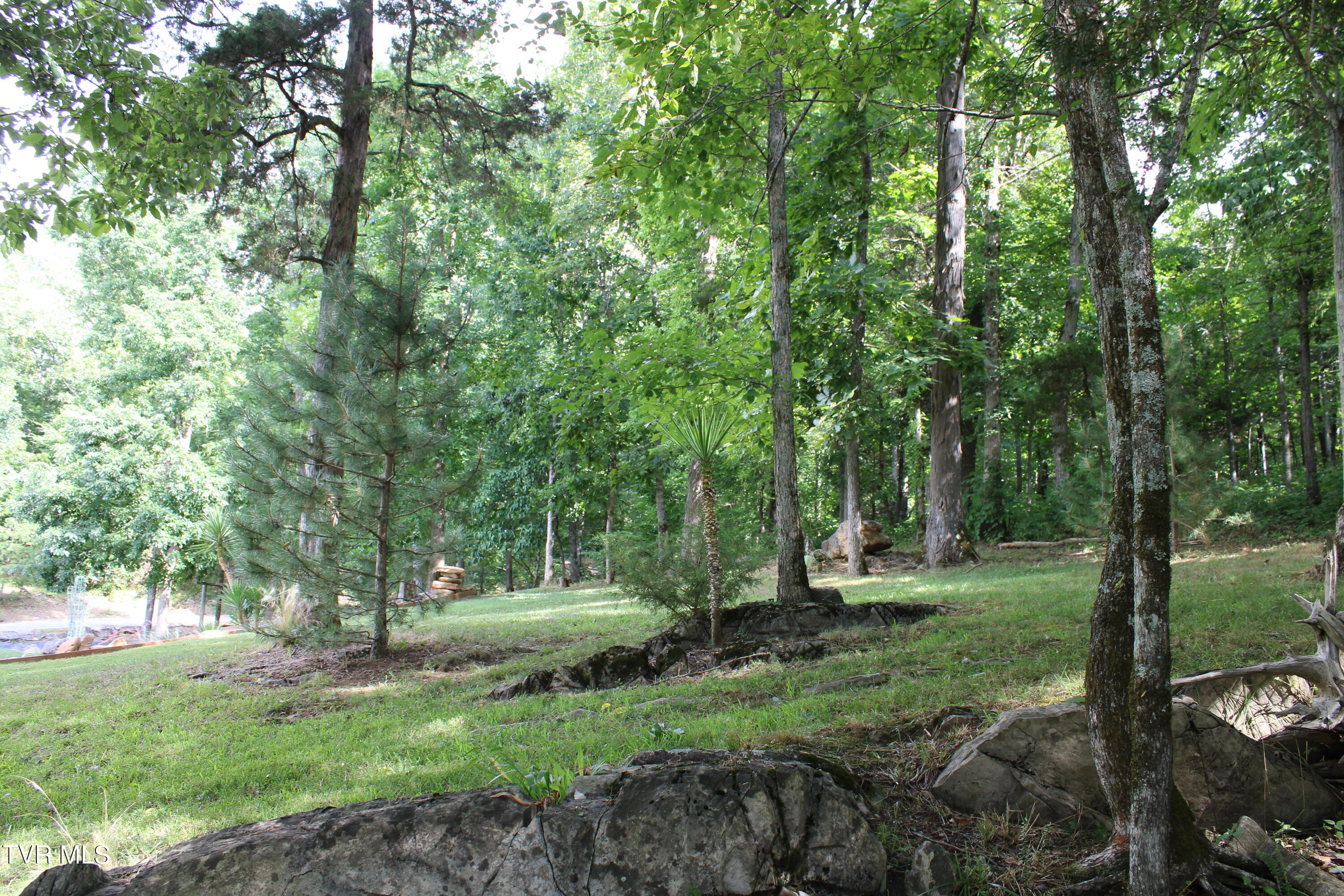 2044 Pigeon Creek Road Greeneville, TN 37743 - Photo 65 of 163 IMG_2674