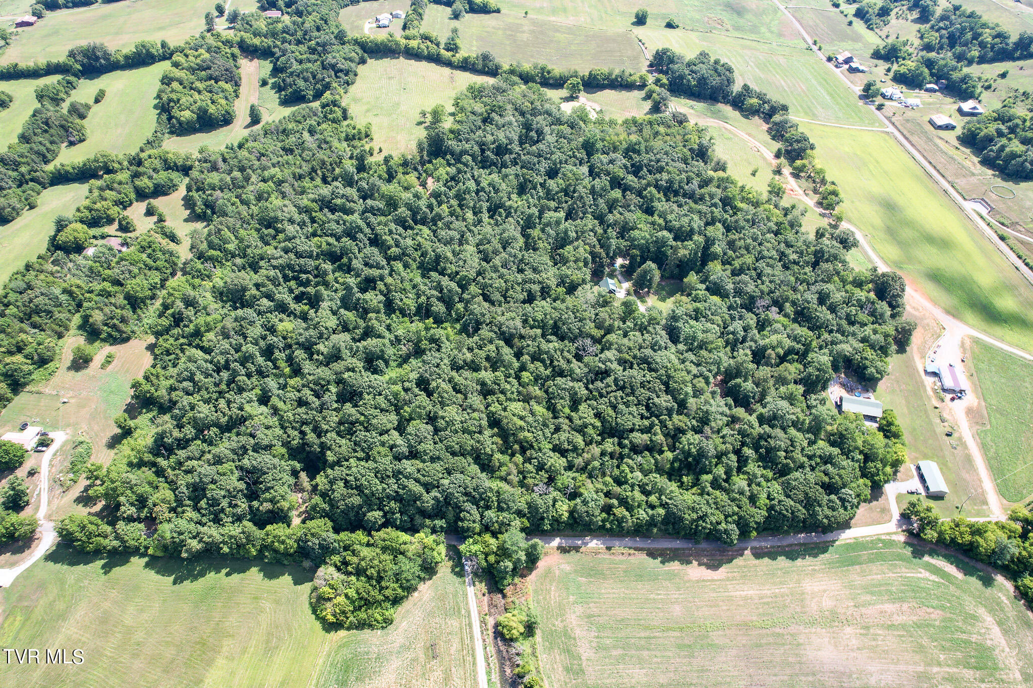 2044 Pigeon Creek Road Greeneville, TN 37743 - Photo 7 of 163 DJI_0928