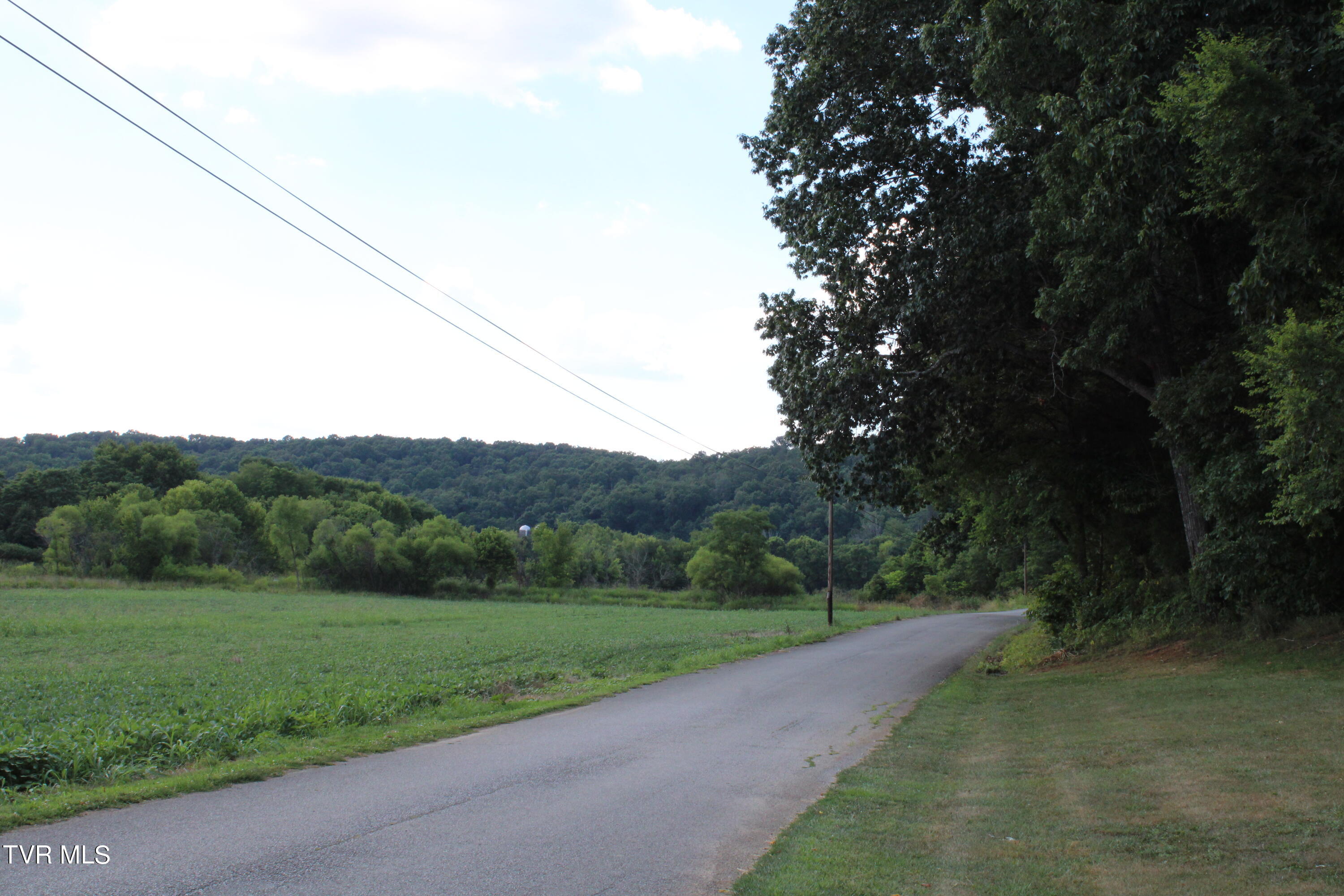 2044 Pigeon Creek Road Greeneville, TN 37743 - Photo 9 of 163 IMG_2724