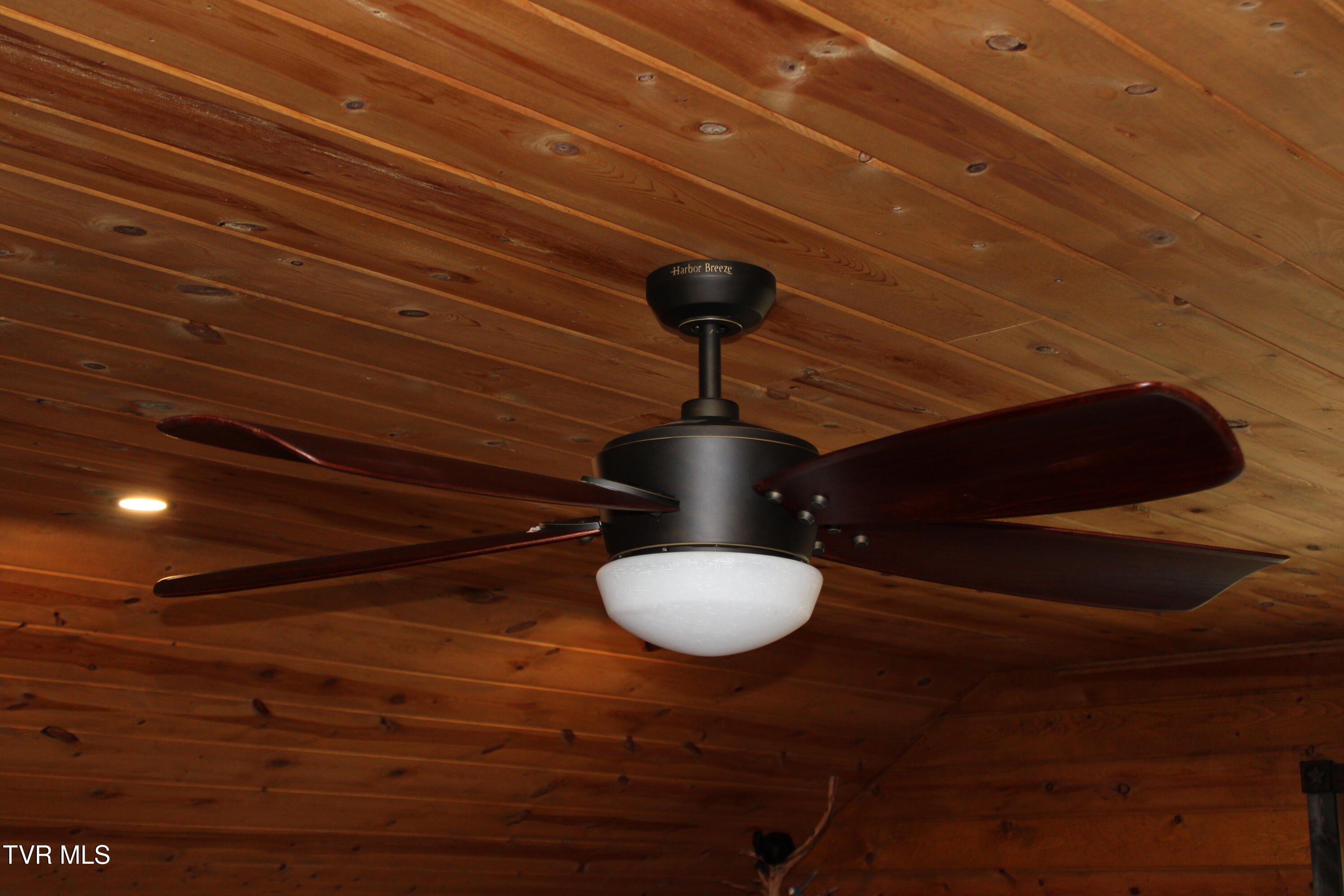 2044 Pigeon Creek Road Greeneville, TN 37743 - Photo 96 of 163 IMG_2969