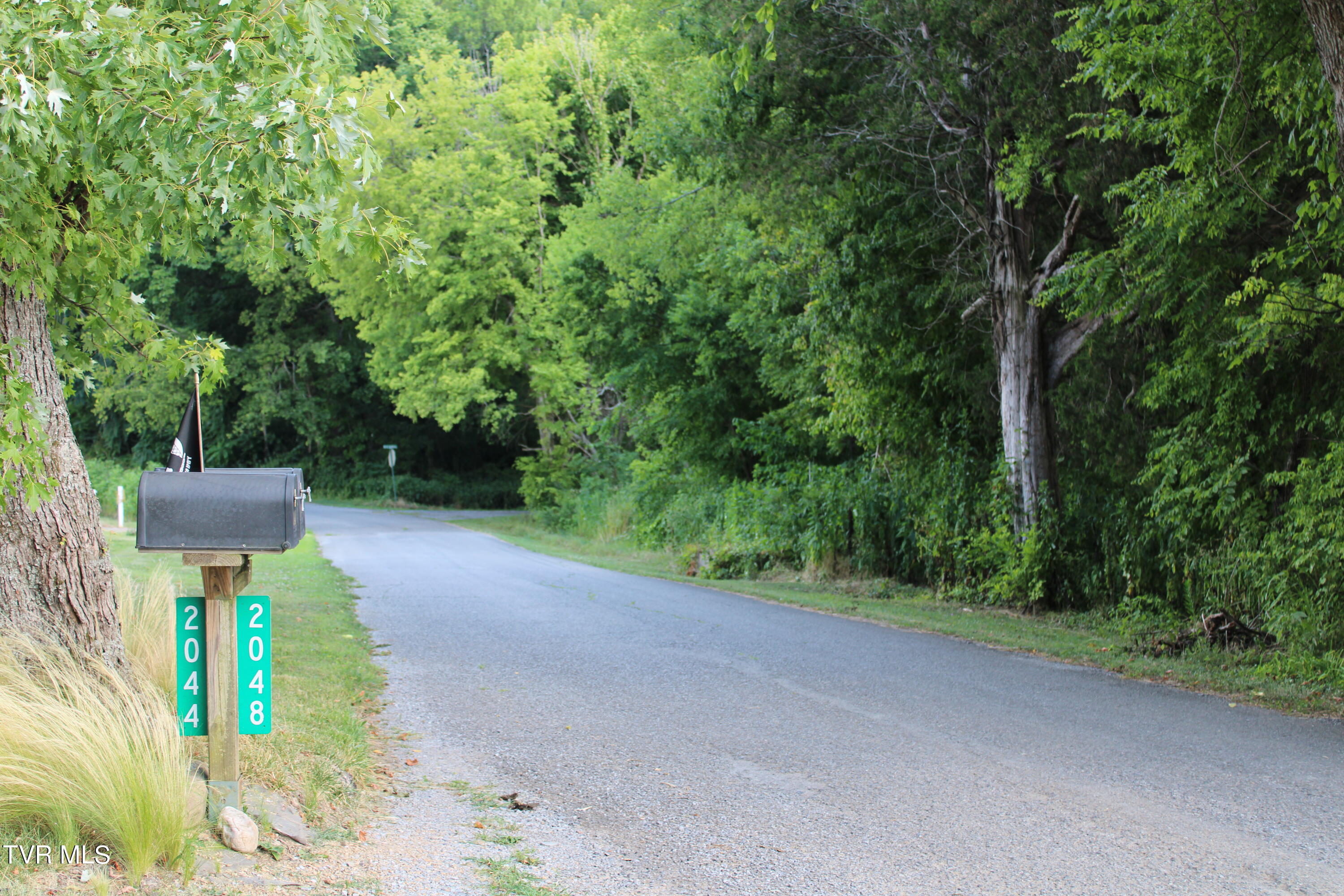2044 Pigeon Creek Road Greeneville, TN 37743 - Photo 10 of 163 IMG_2725