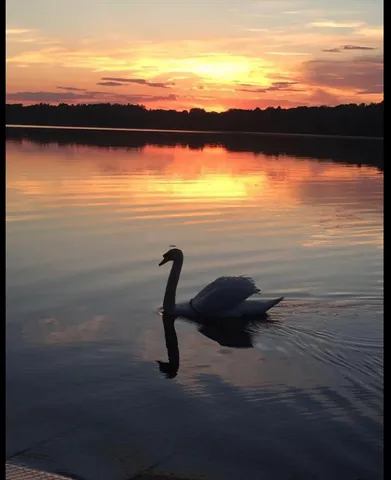 $895,000 | 14 Iris Court, Unit 14, Canton, MA 02021