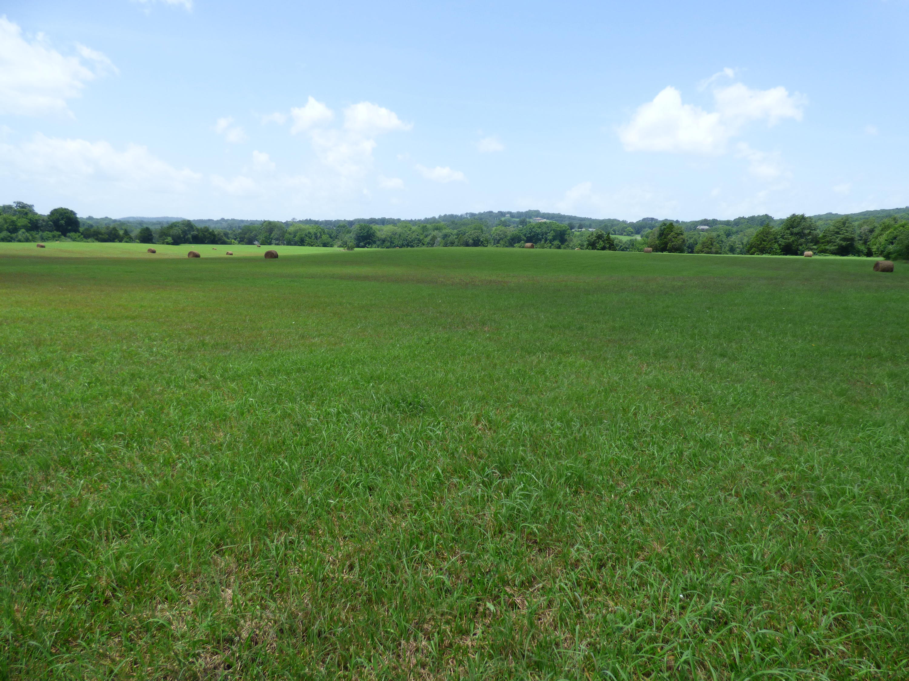 7711 Thompson School Road Corryton, TN 37721 - Photo 1 of 15 P1000426