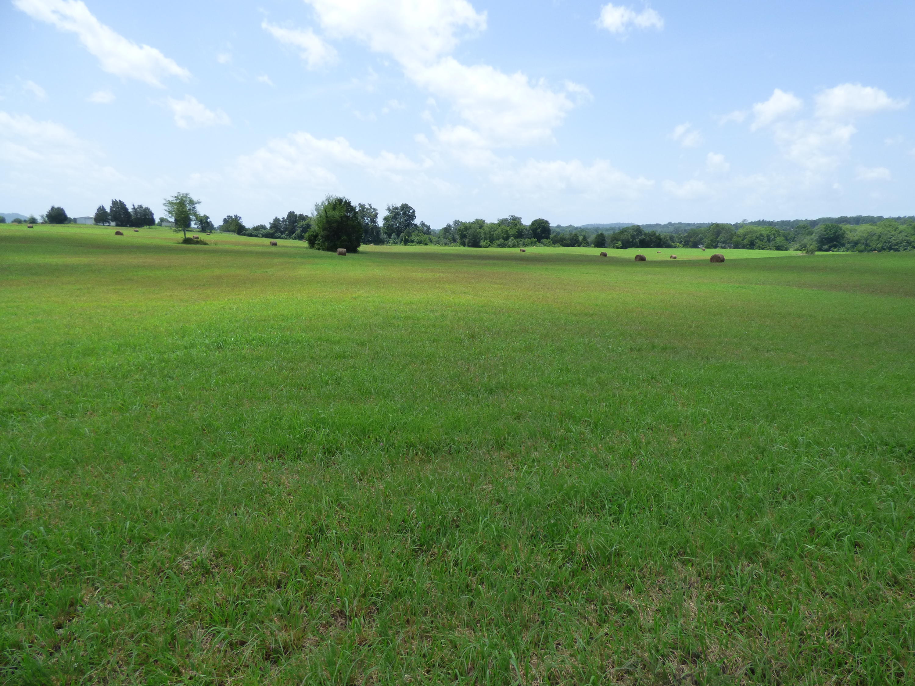7711 Thompson School Road Corryton, TN 37721 - Photo 12 of 15 P1000425