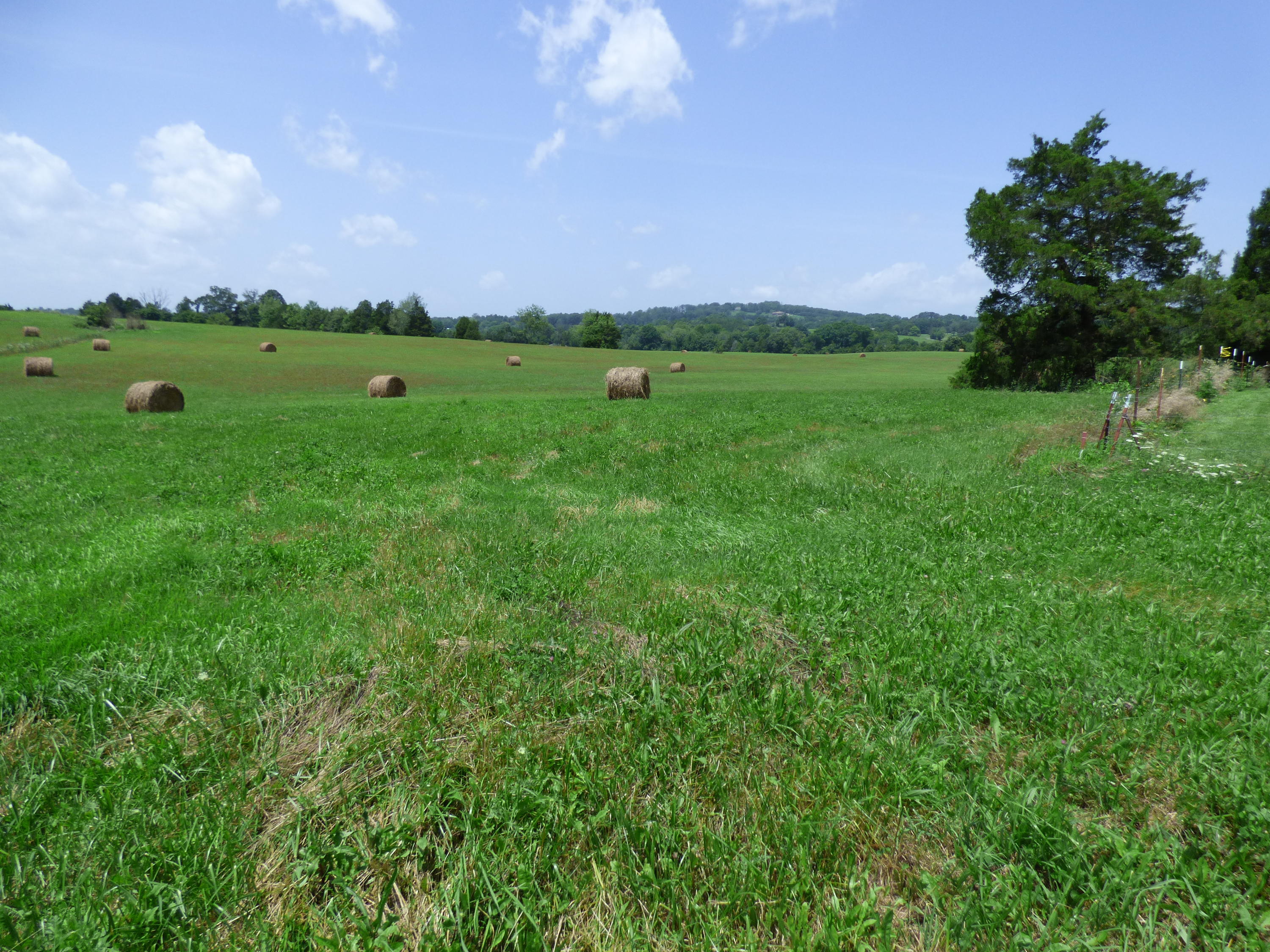 7711 Thompson School Road Corryton, TN 37721 - Photo 4 of 15 P1000417