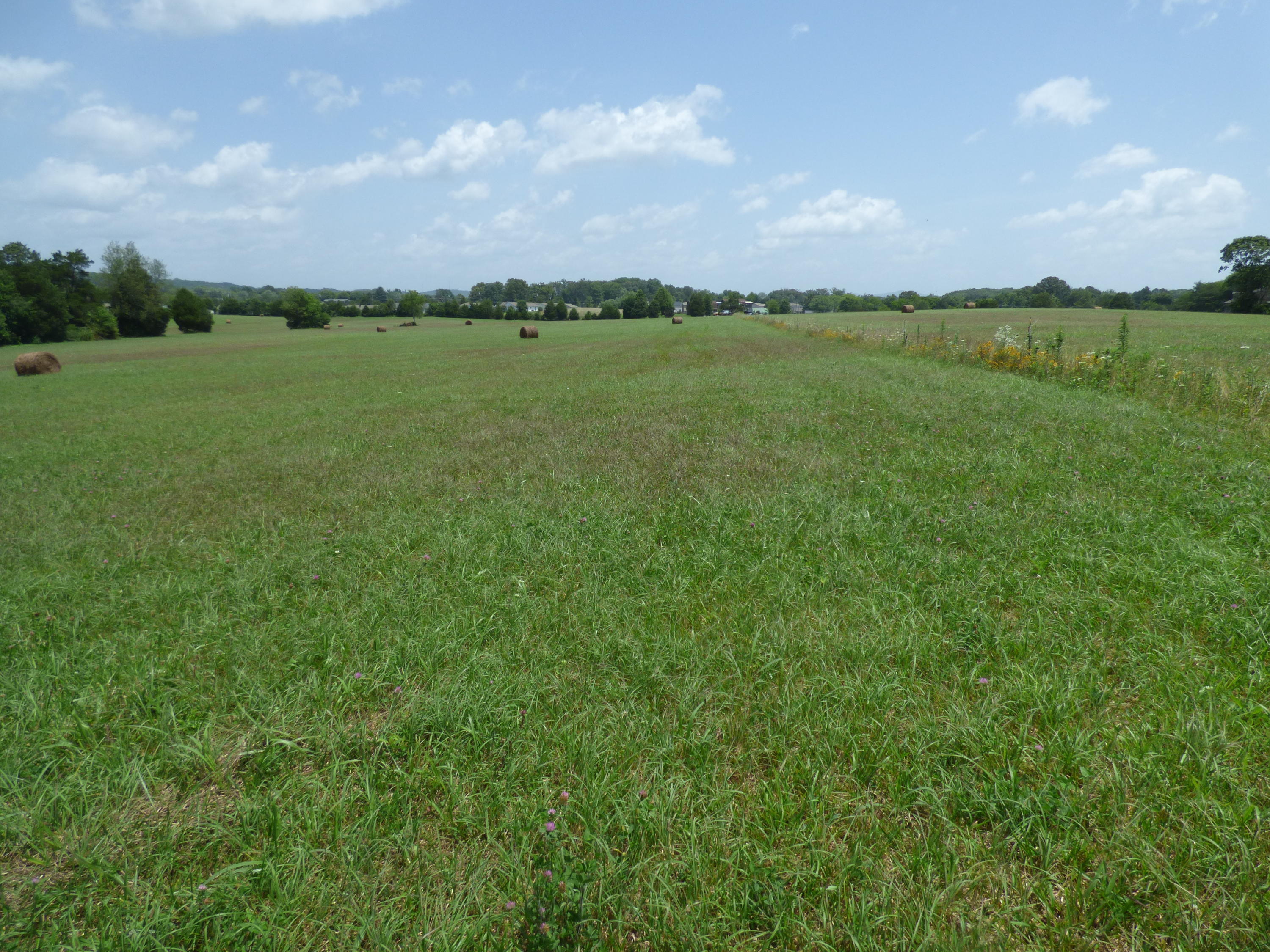 7711 Thompson School Road Corryton, TN 37721 - Photo 5 of 15 P1000418