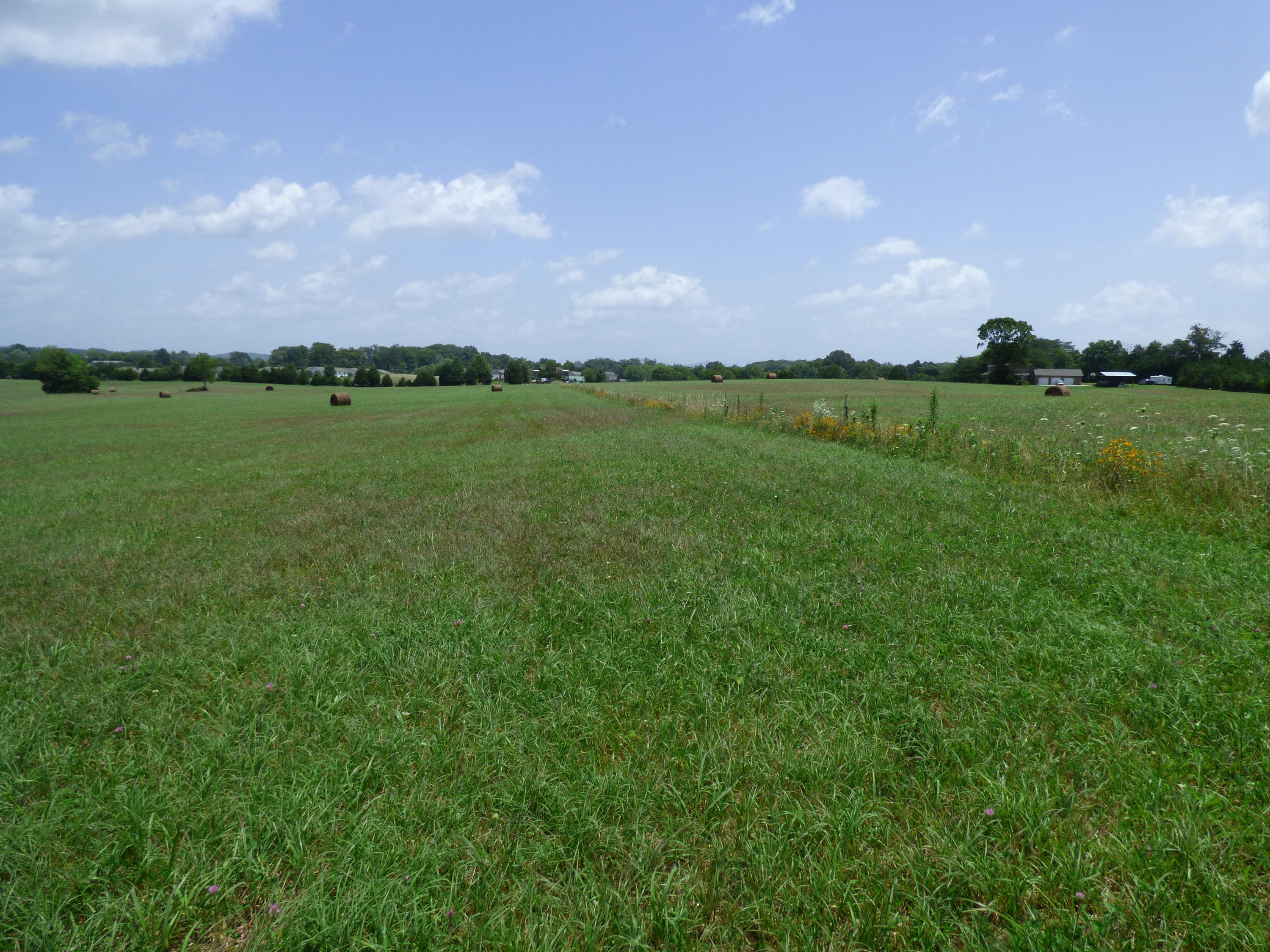 7711 Thompson School Road Corryton, TN 37721 - Photo 6 of 15 P1000419