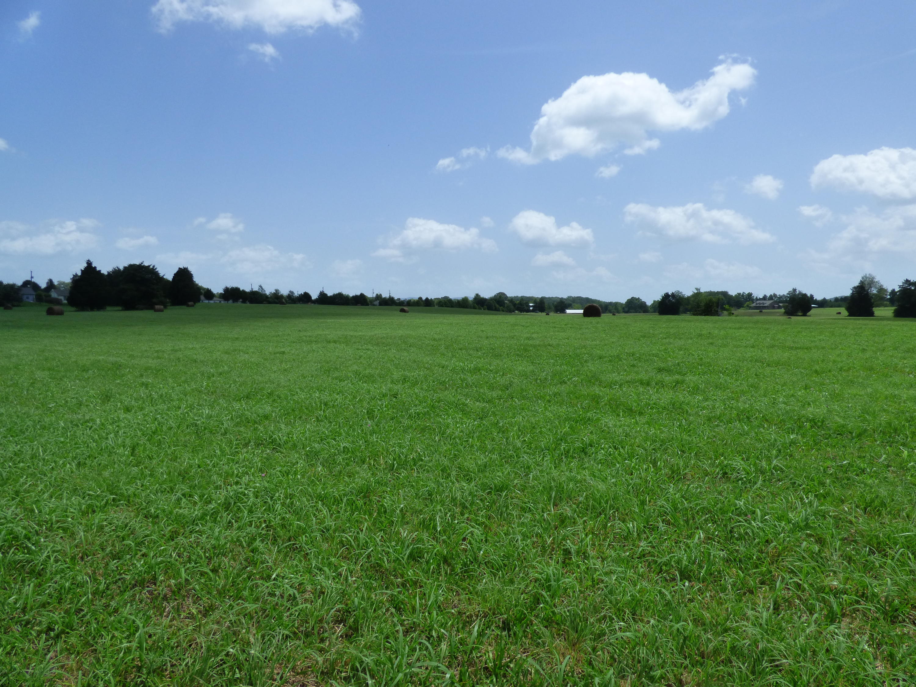 7711 Thompson School Road Corryton, TN 37721 - Photo 7 of 15 P1000420