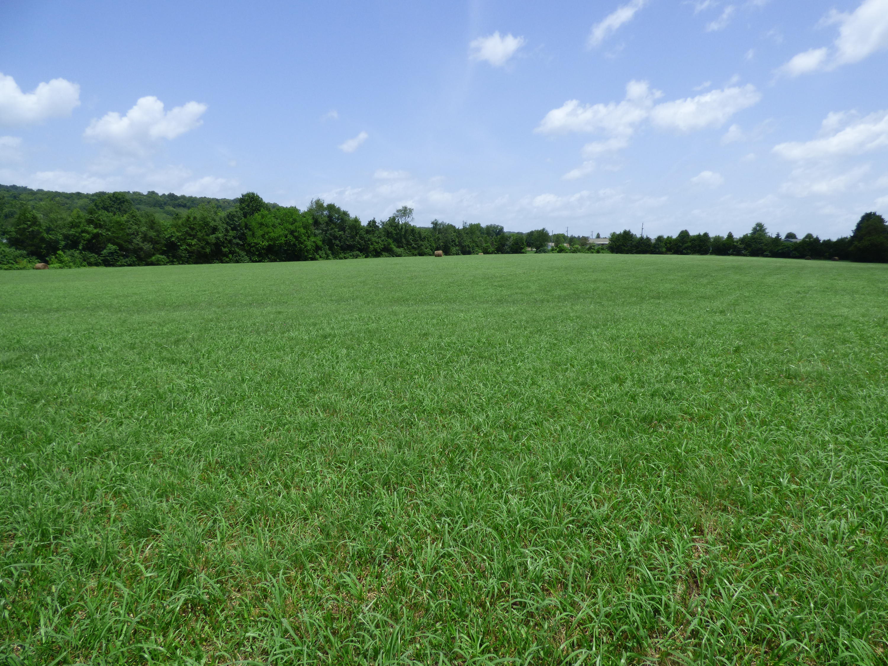 7711 Thompson School Road Corryton, TN 37721 - Photo 8 of 15 P1000421