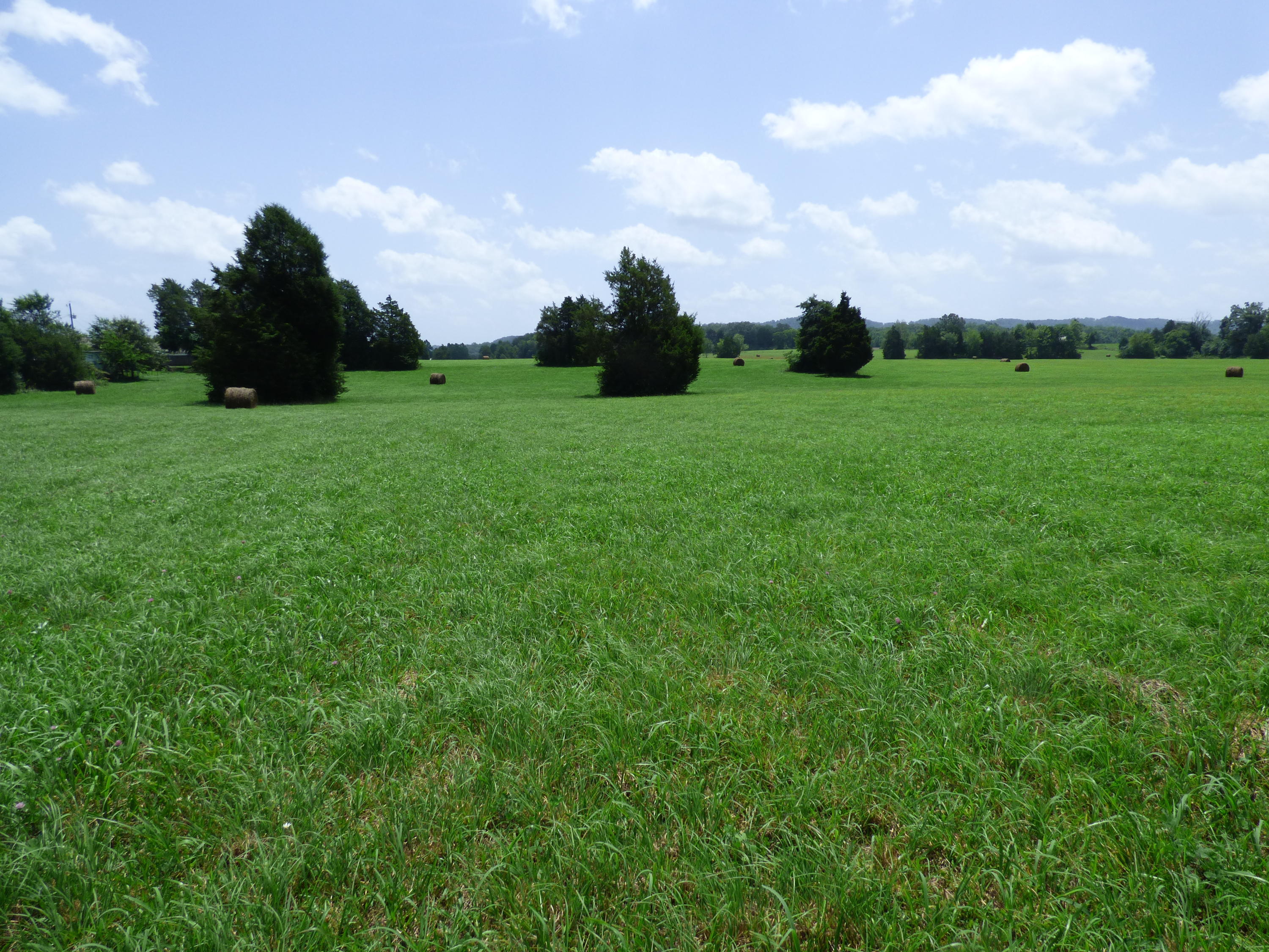 7711 Thompson School Road Corryton, TN 37721 - Photo 9 of 15 P1000422