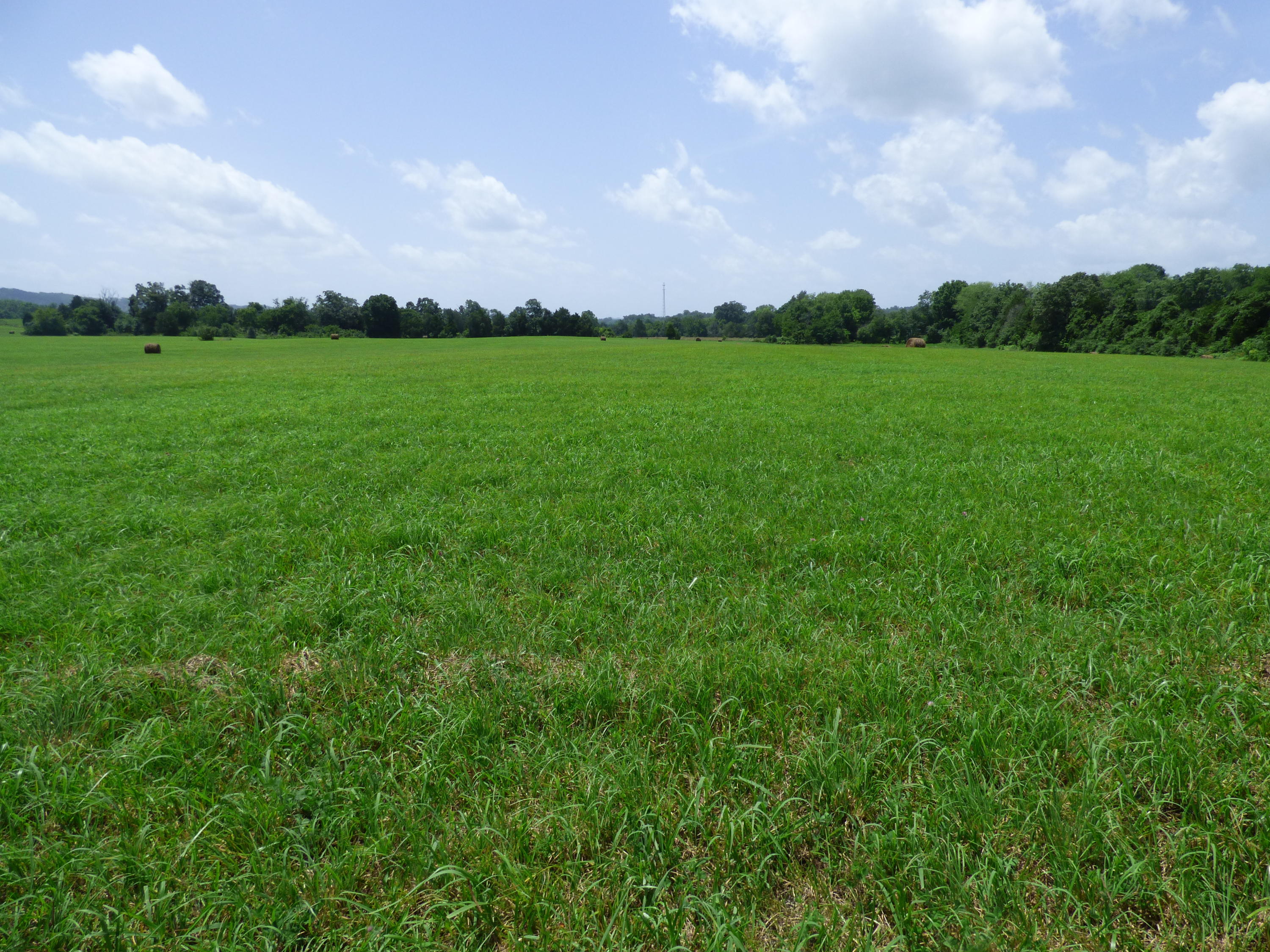 7711 Thompson School Road Corryton, TN 37721 - Photo 10 of 15 P1000423