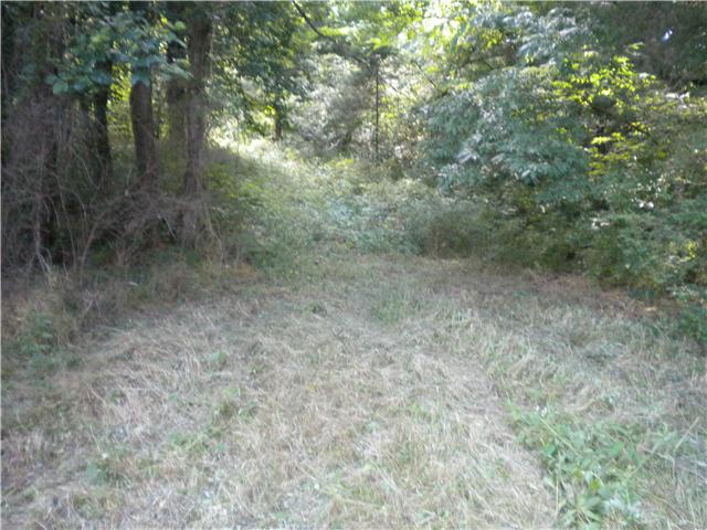 0 Center Point-diana Road Pulaski, TN 38478 - Photo 3 of 12 Trail in back of tract