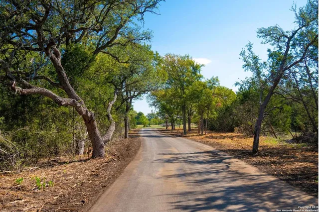 a wooden bench with view of trees