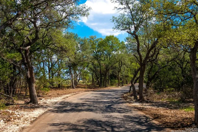 a view of outdoor space with trees