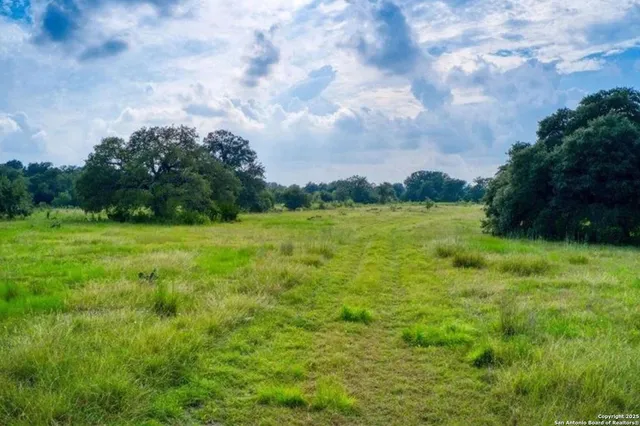 a view of a green field with wooden fence