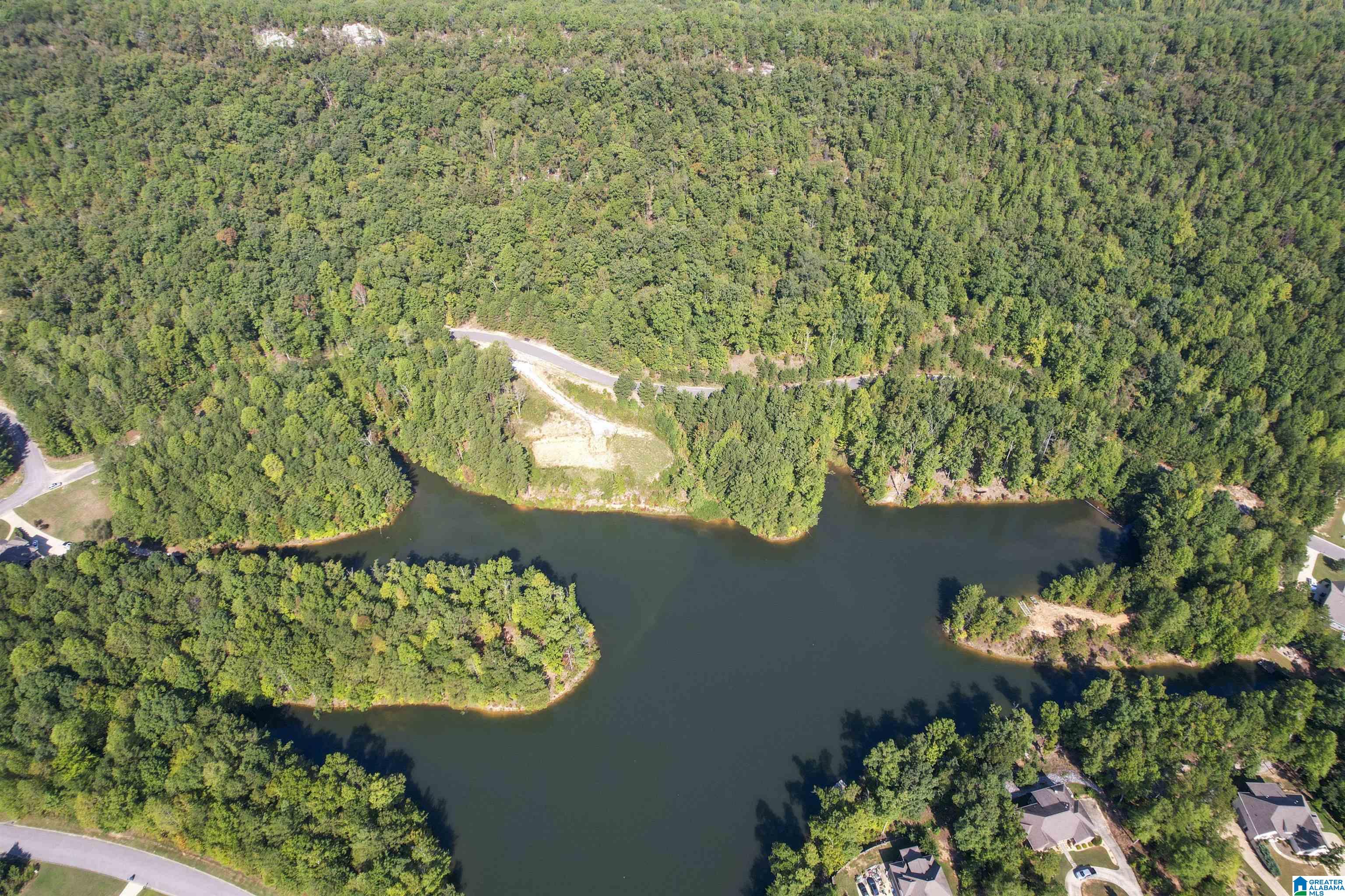 Lot 1 Ridgeline Drive, Unit 1 Chelsea, AL 35043 - Photo 3 of 4