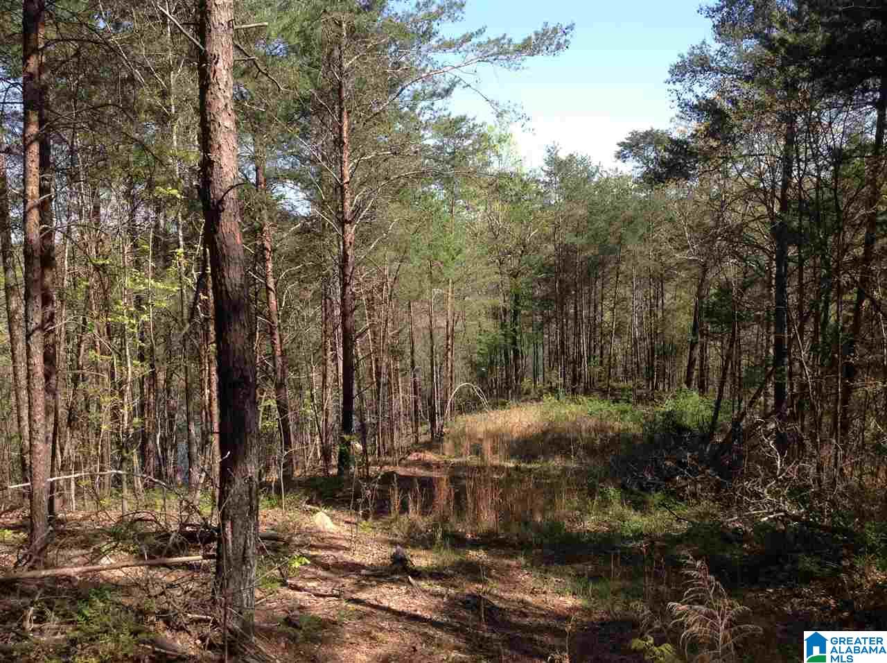 Solitude Drive, Unit 19 Clanton, AL 35046 - Photo 4 of 5