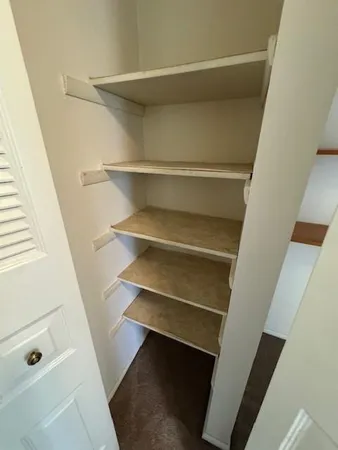 a view of walk in closet with empty racks