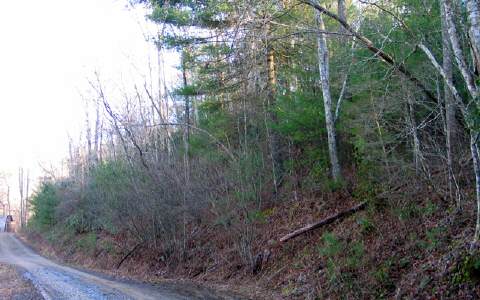 14 Hunter Ridge Murphy, NC 28906 - Photo 1 of 1 Main View