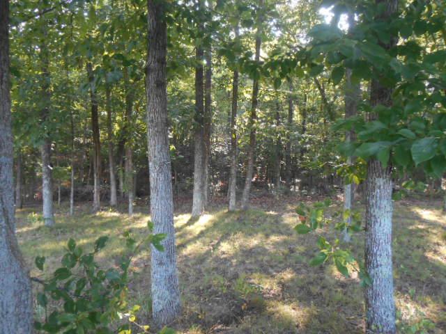 128 Piney Road Lawrenceburg, TN 38464 - Photo 1 of 17